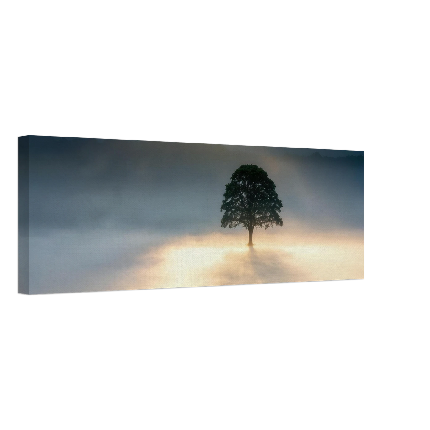Wandbild mystisches baum wandbild einzelner baum im nebel sonnenaufgang waehlbar in verschiedenen groessen