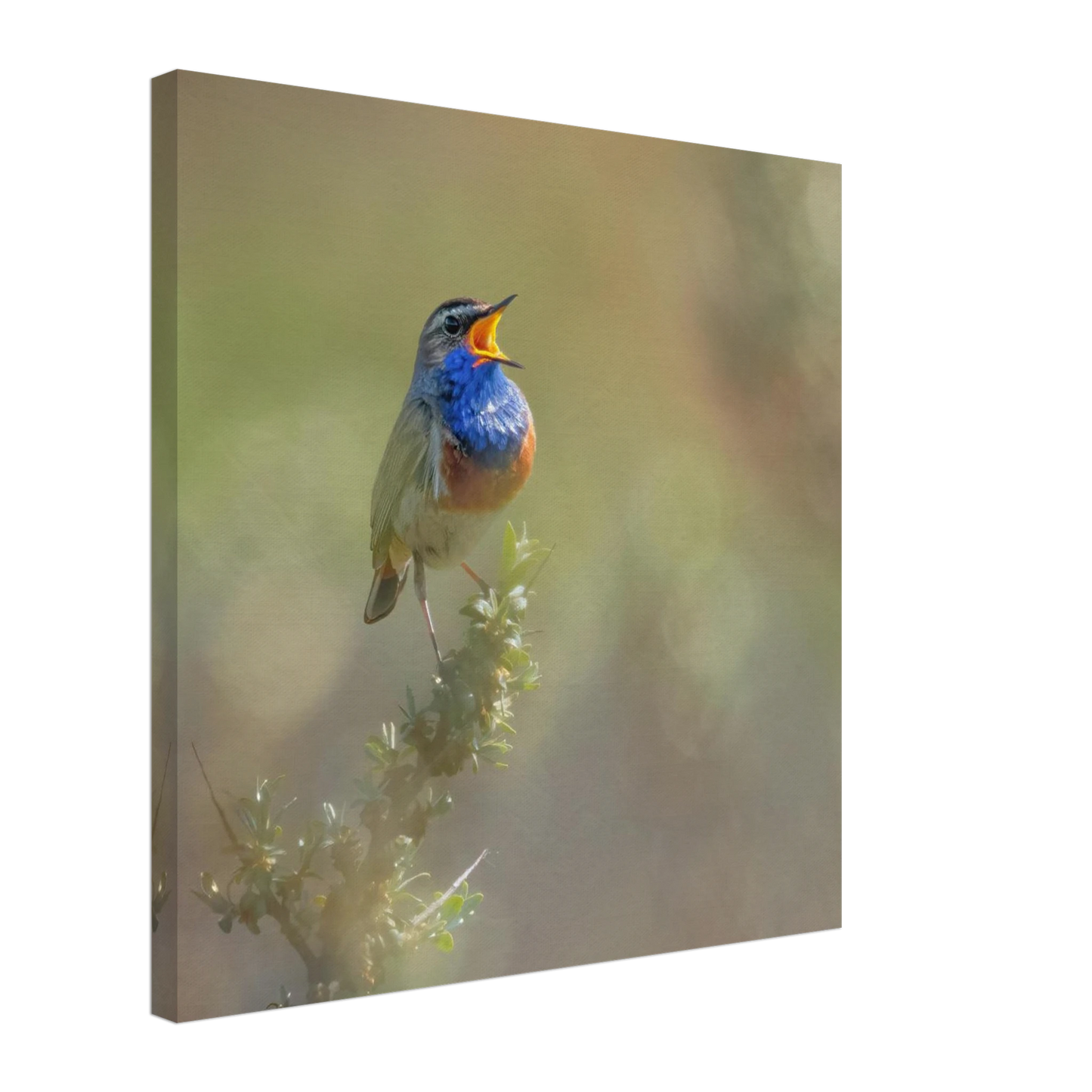 Wandbild singvogel in blautoenen lebendige vogelkunst fuer ihr zuhause in ihrer wunschgroesse