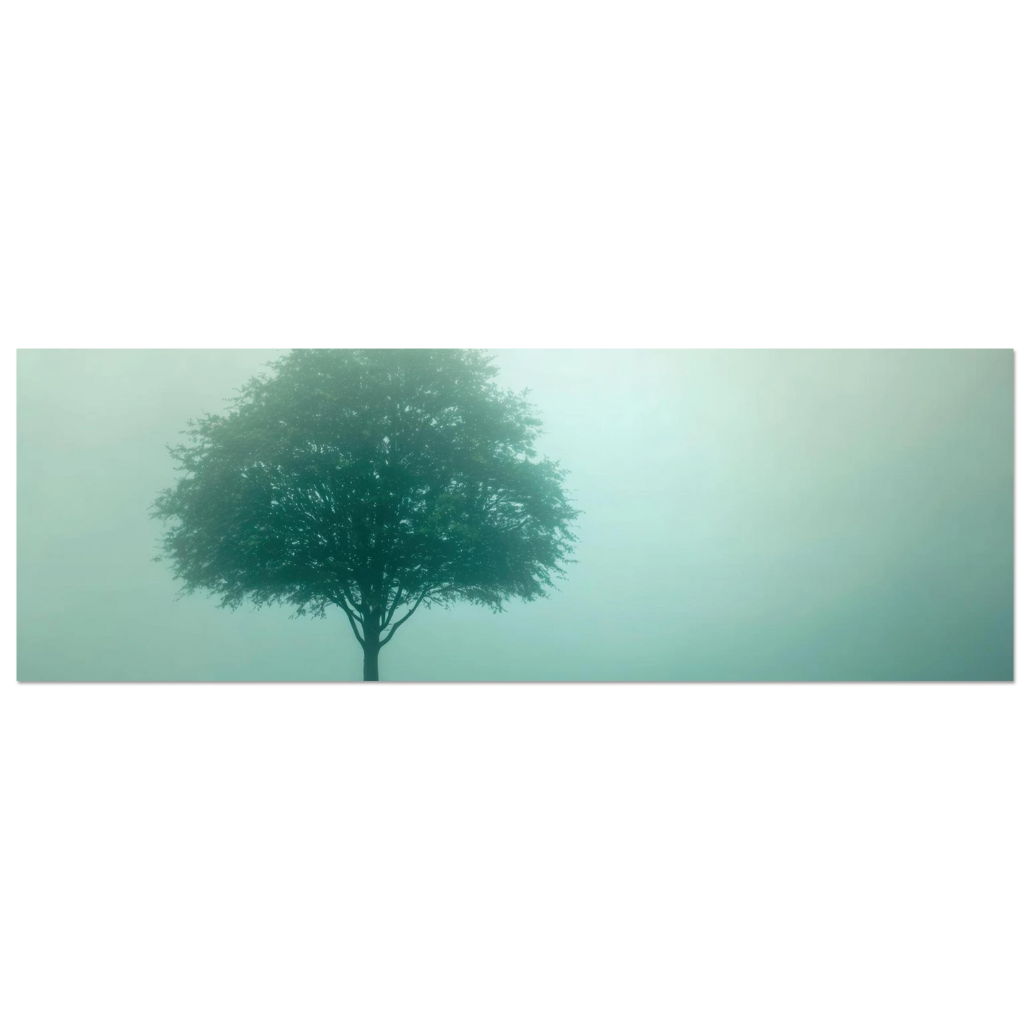 Wandbild mystischer baum im nebel ruhe und gruentoene fuer dein zuhause