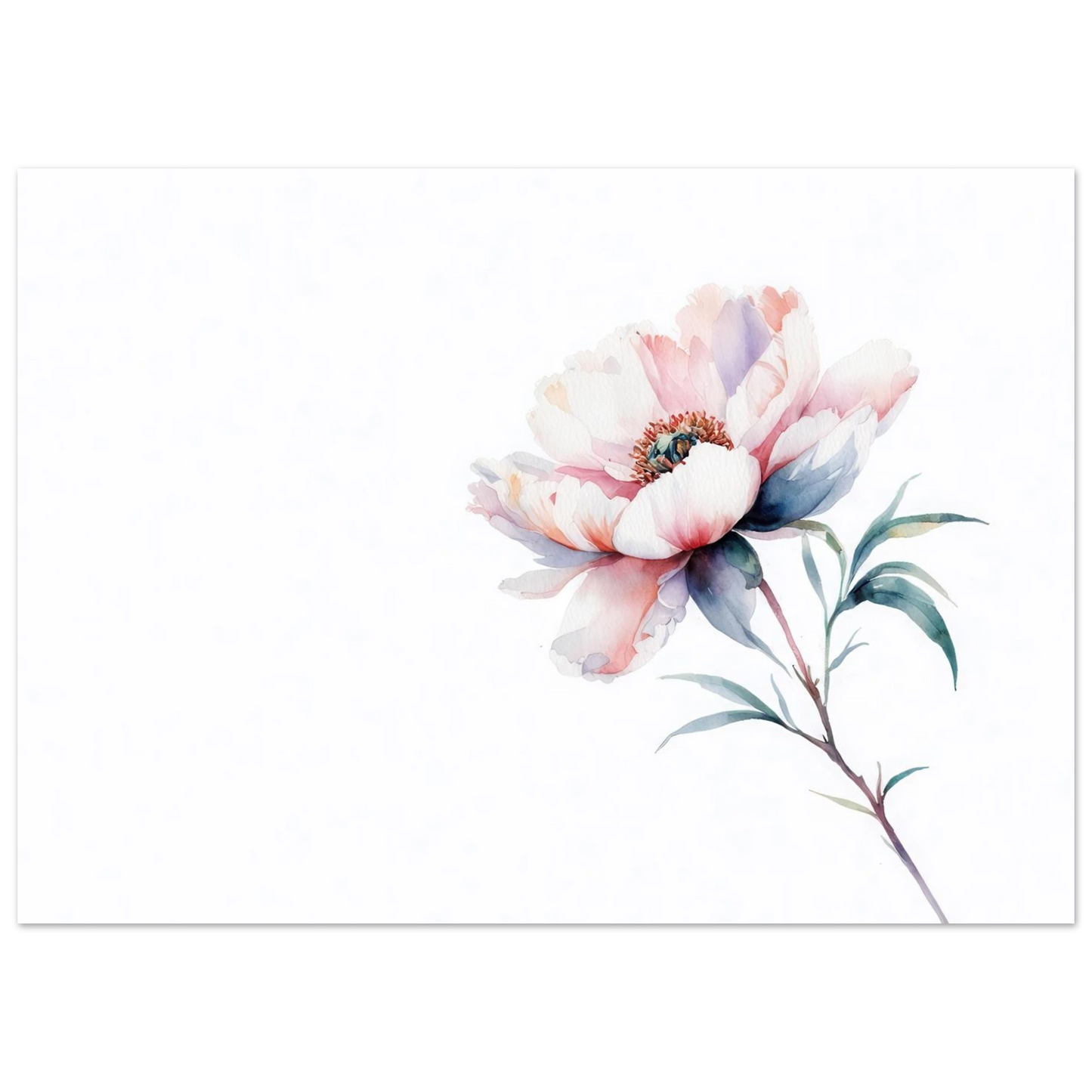 Wandbild zarte pfingstrose elegante aquarell kunst fuer ihr zuhause in wunschgroesse