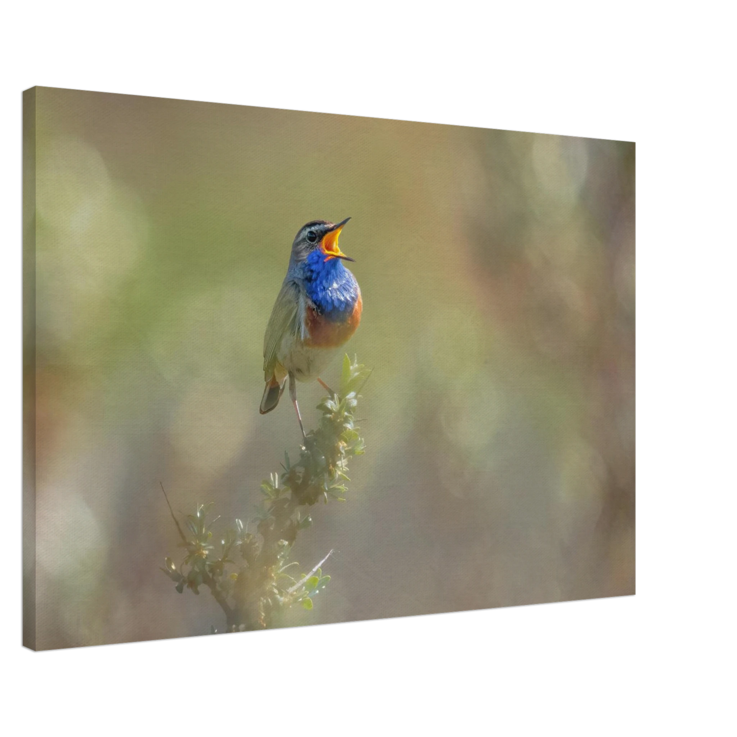 Wandbild singvogel in blautoenen lebendige vogelkunst fuer ihr zuhause in ihrer wunschgroesse