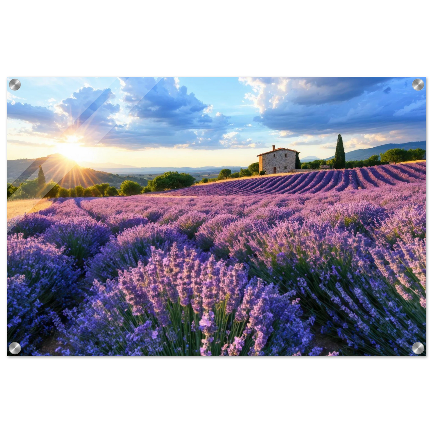 Wandbild sonnenuntergang ueber lavendelfeldern idyllische provence landschaft im wunschformat