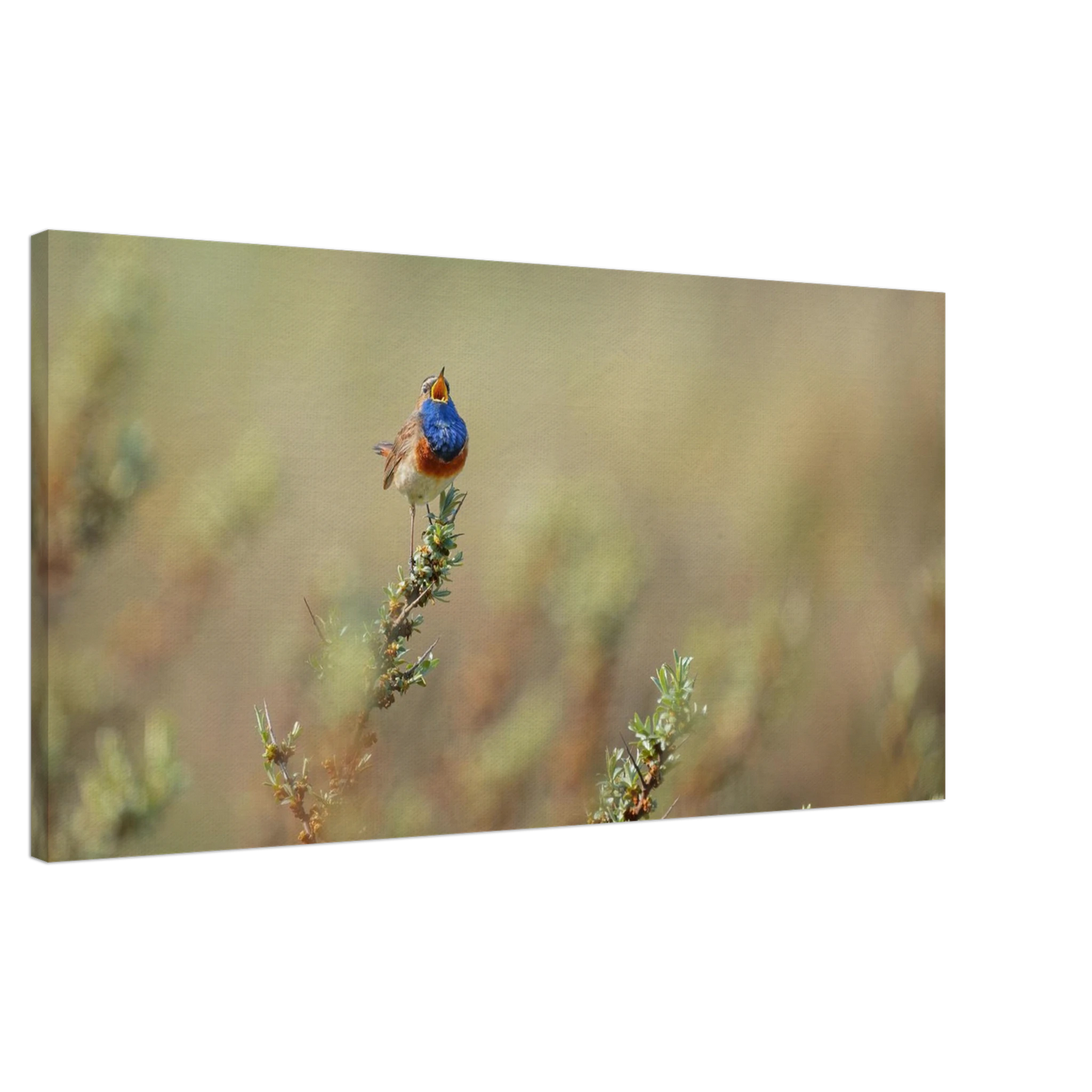 Wandbild lebendige nachtigall ein meisterwerk der naturfotografie fuer ihr zuhause