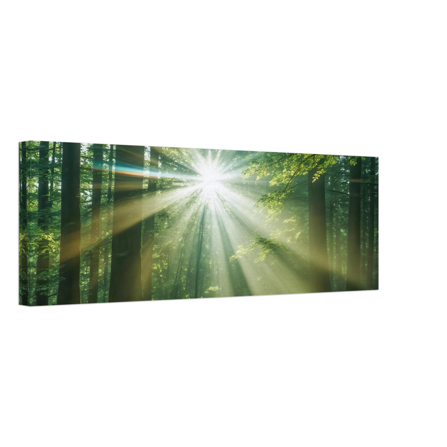 Wandbild sonnenstrahlen im wald mystisches waldlicht kunstdruck in ihrer wunschgroesse