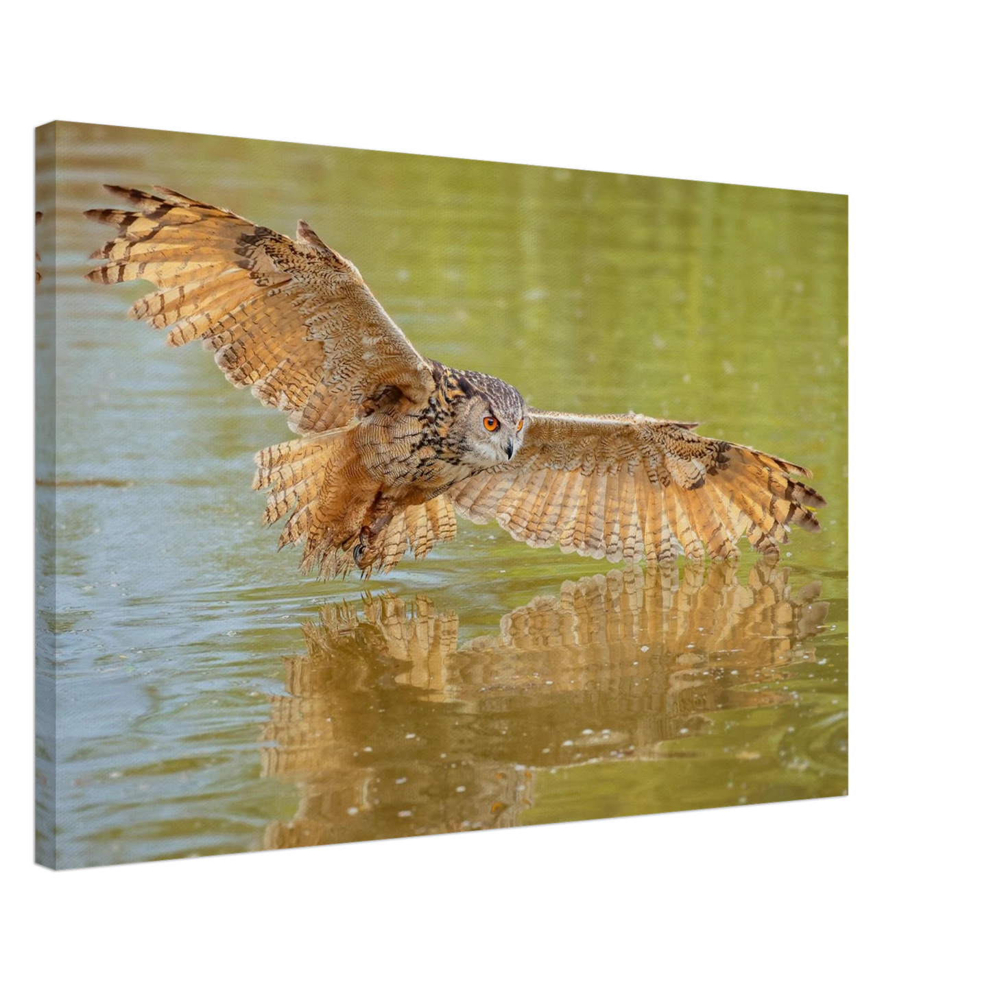 Wandbild majestaetischer uhu im jagdflug atemberaubende wildtierkunst in verschiedenen groessen