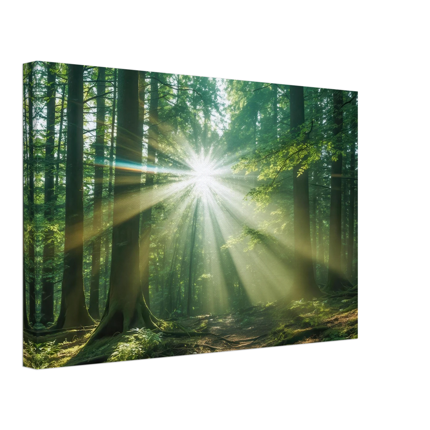 Wandbild sonnenstrahlen im wald mystisches waldlicht kunstdruck in ihrer wunschgroesse