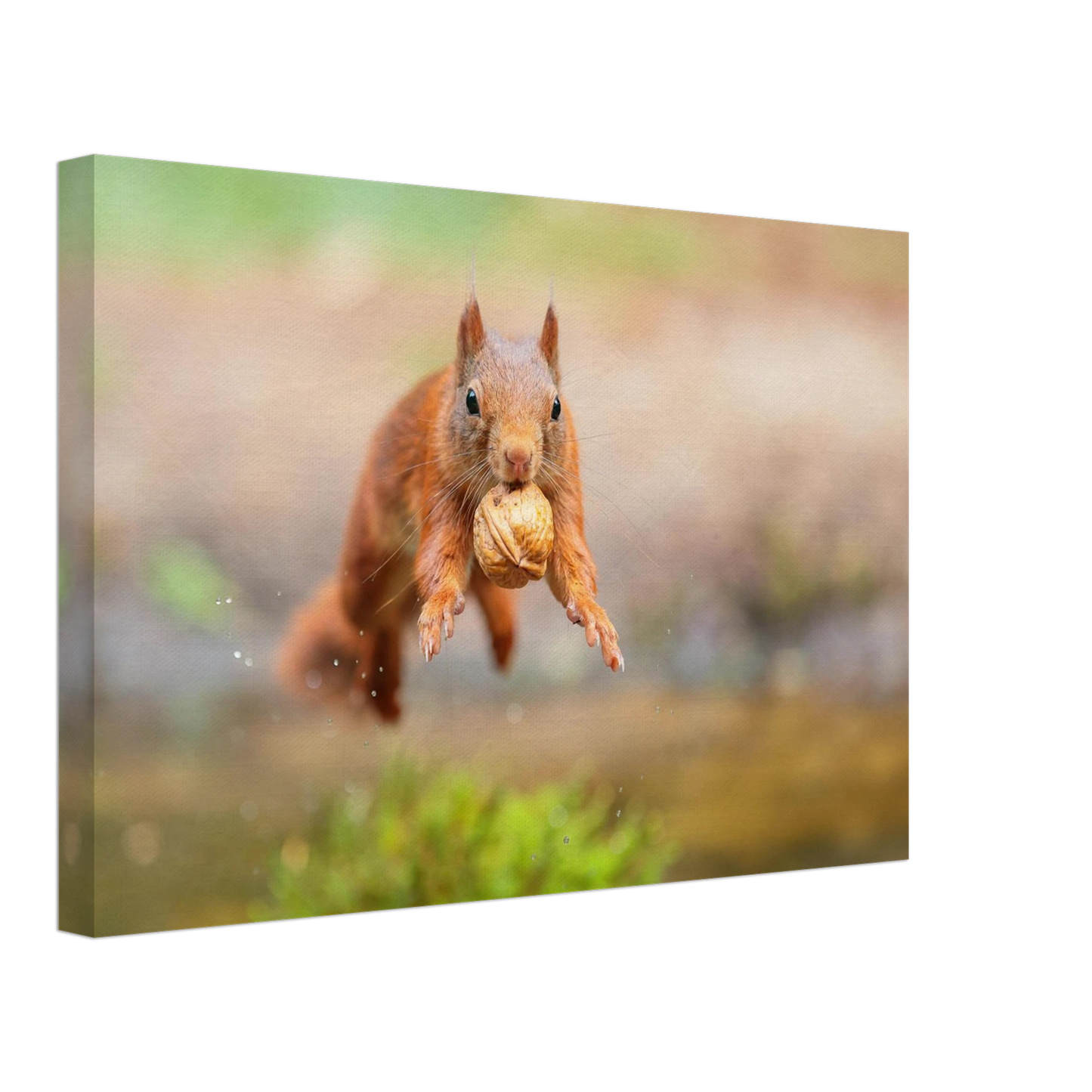 Wandbild eichhoernchens freudensprung dynamische tierkunst in leuchtenden farben