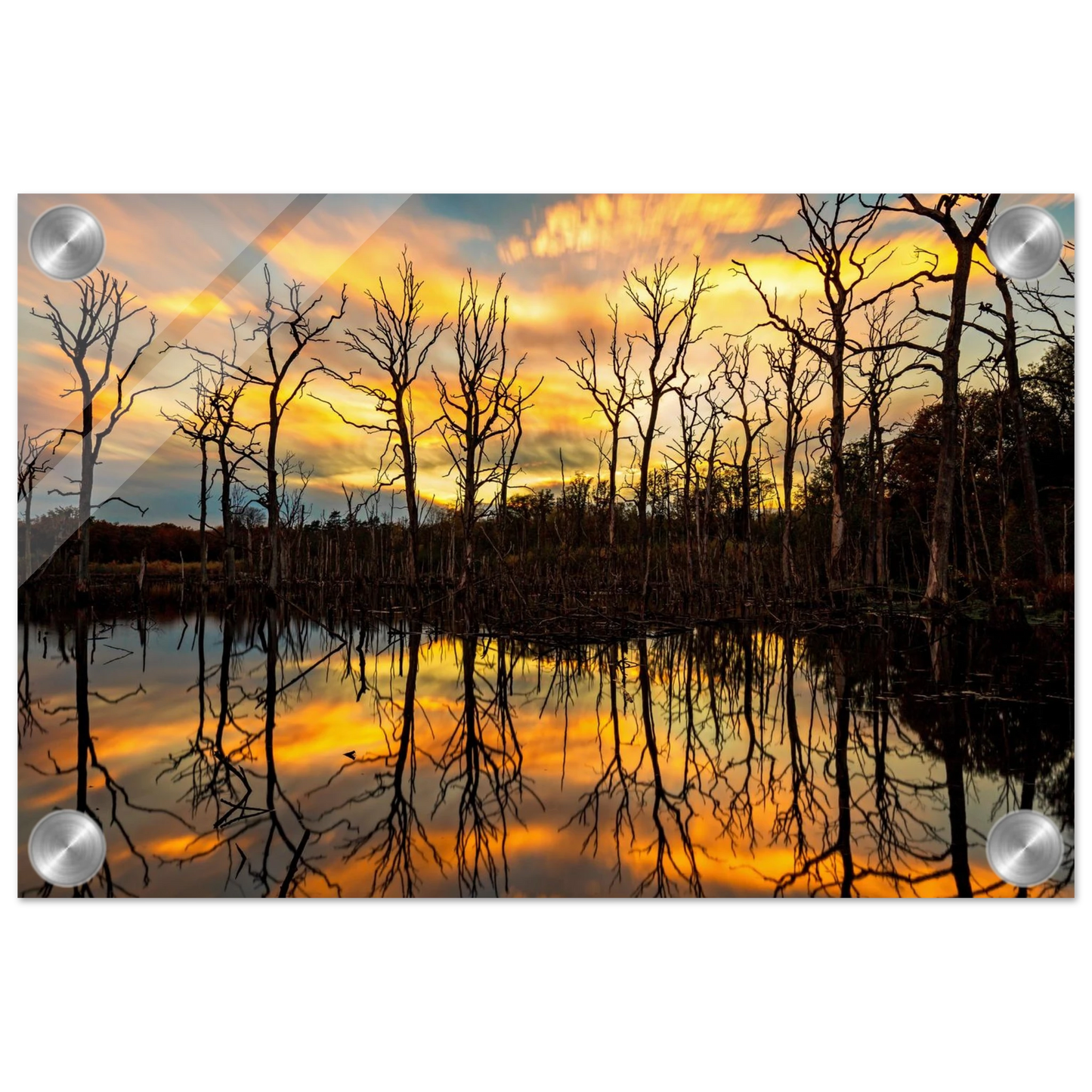 Wandbild mystischer sonnenuntergang ueber dem baumsee lebendige kunstdrucke in vielen groessen