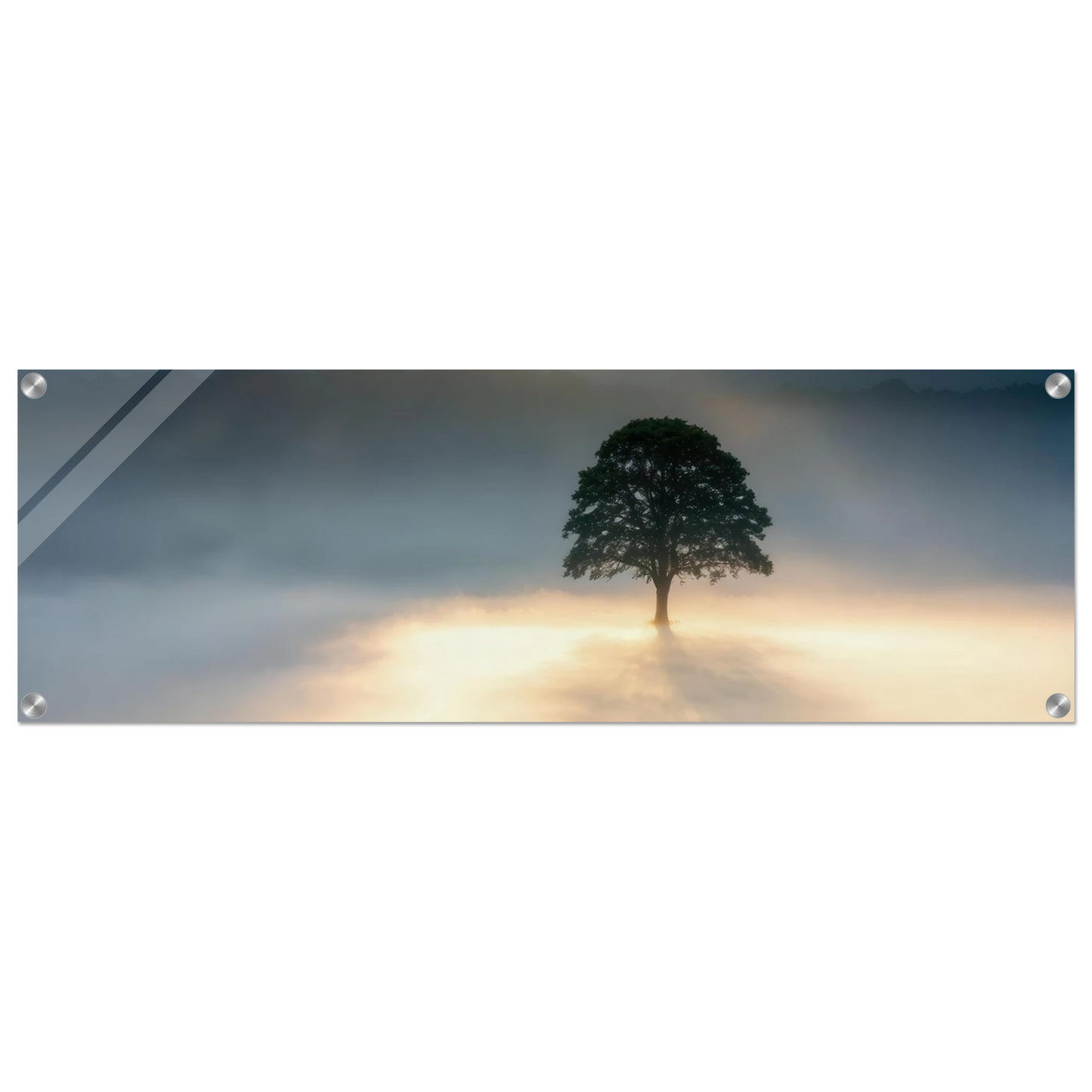 Wandbild mystisches baum wandbild einzelner baum im nebel sonnenaufgang waehlbar in verschiedenen groessen