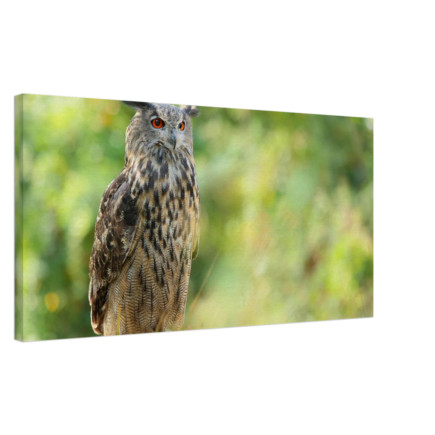 Wandbild mystische eule majestaetisches waldtier mit leuchtenden augen in ihrer wunschgroesse