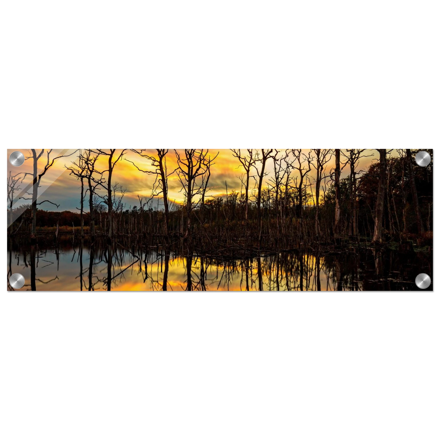 Wandbild mystischer sonnenuntergang ueber dem baumsee lebendige kunstdrucke in vielen groessen