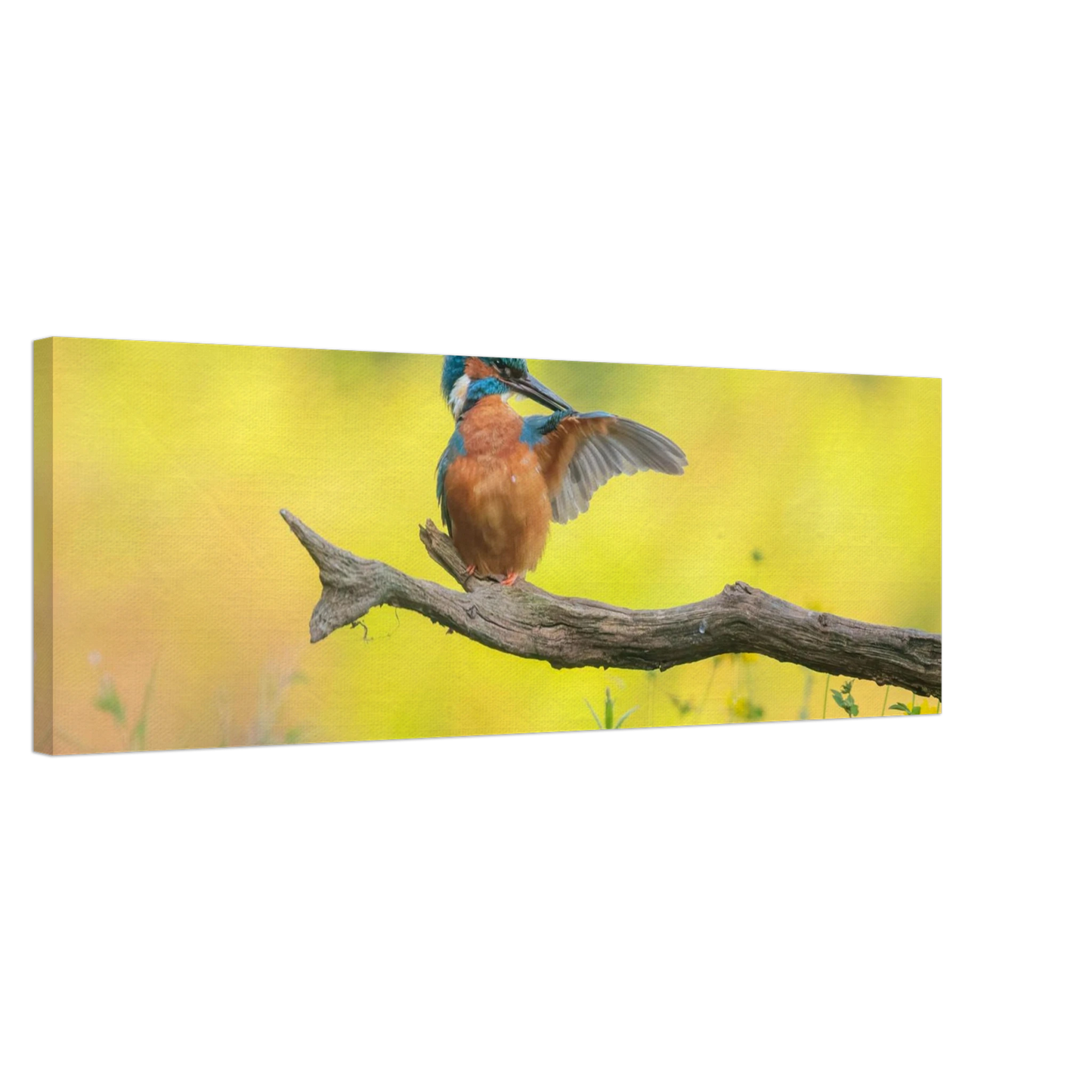 Wandbild eisvogel lebendige naturkunst fuer ihr zuhause