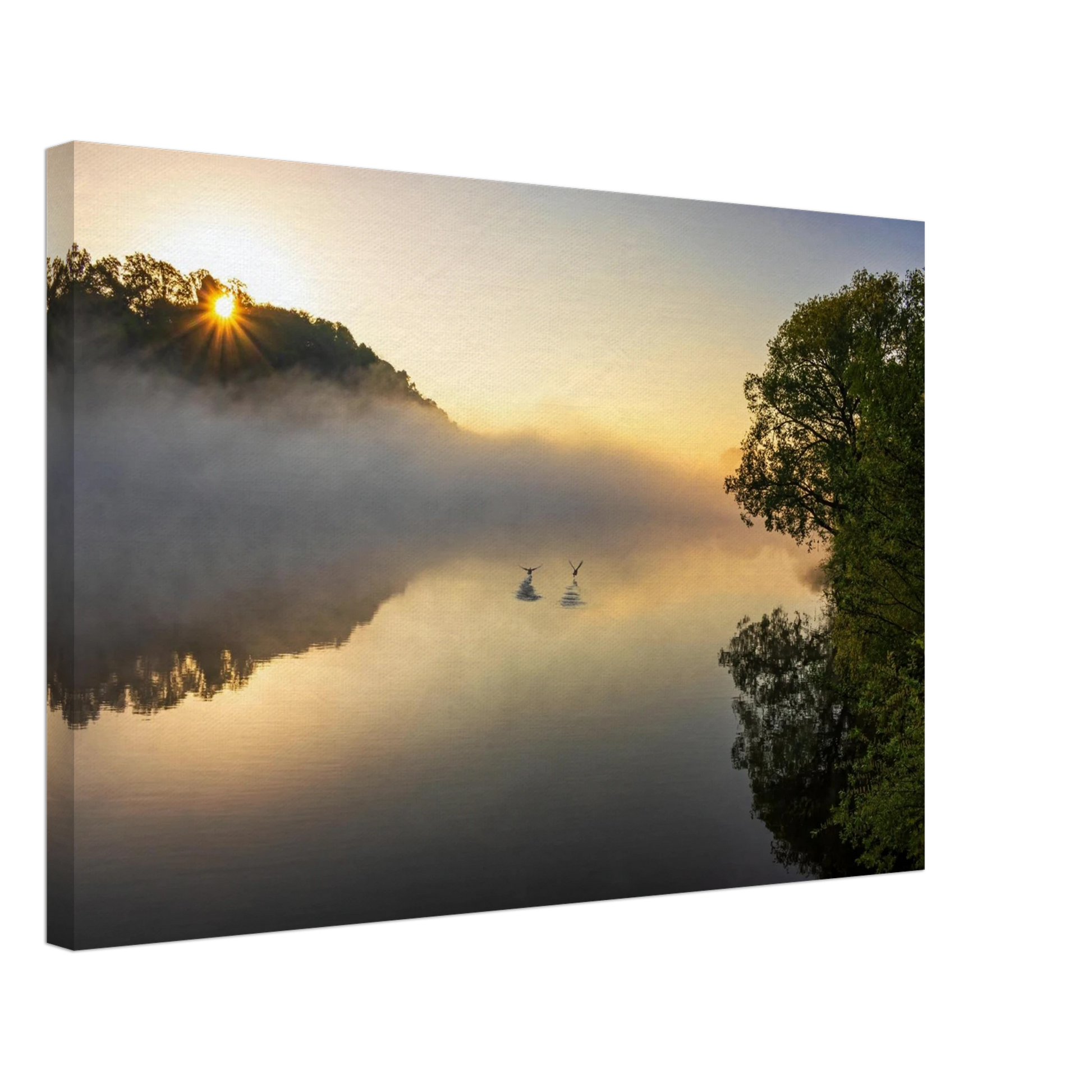 Wandbild mystischer sonnenaufgang ueber dem nebelmeer stille wasser voegel leinwandbild fuer ihr zuhause