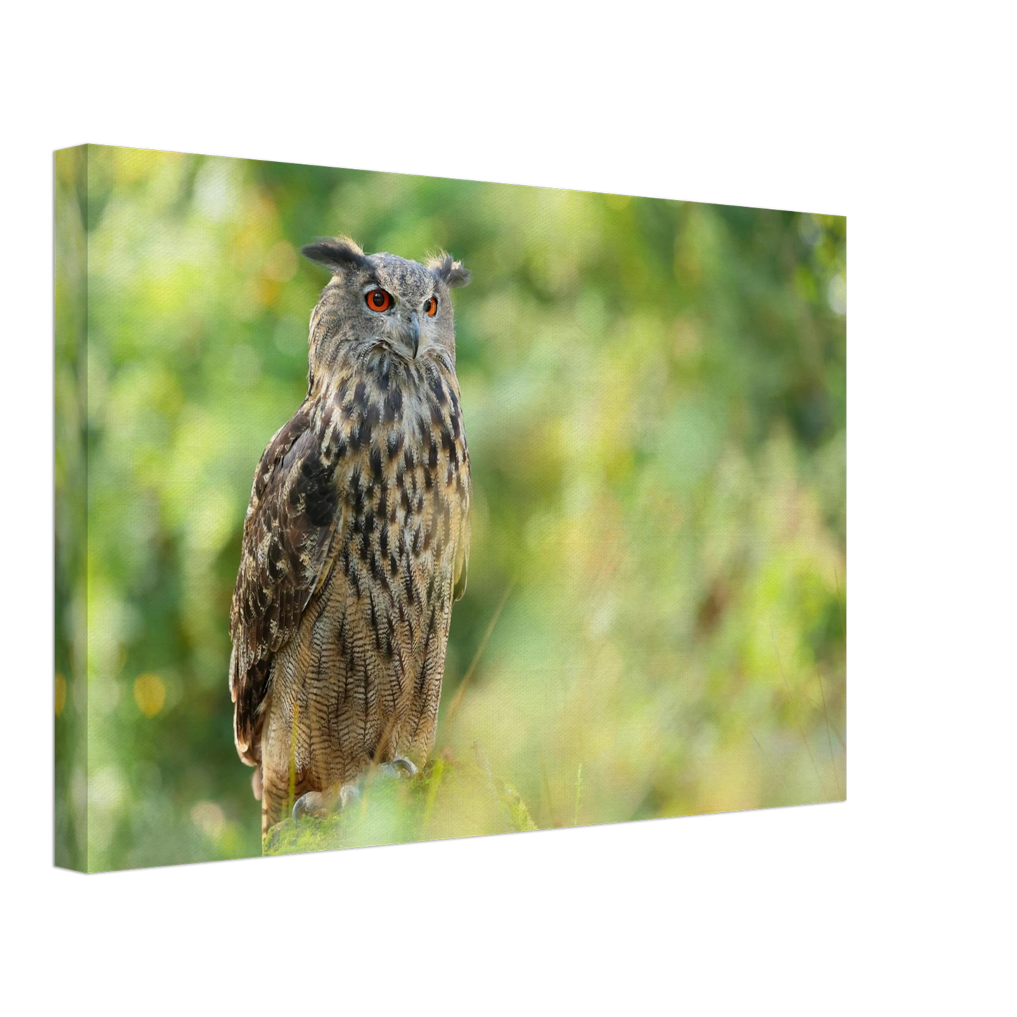 Wandbild mystische eule majestaetisches waldtier mit leuchtenden augen in ihrer wunschgroesse