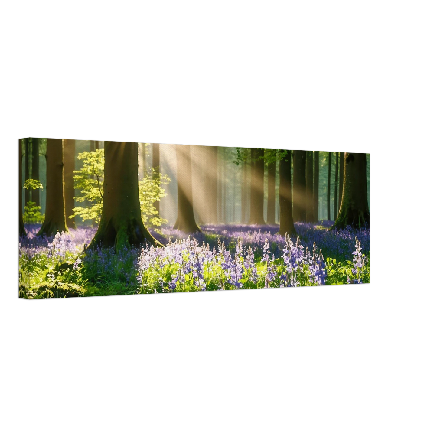 Wandbild mystischer morgenwald mit sonnenstrahlen und lila blueten in vielen groessen