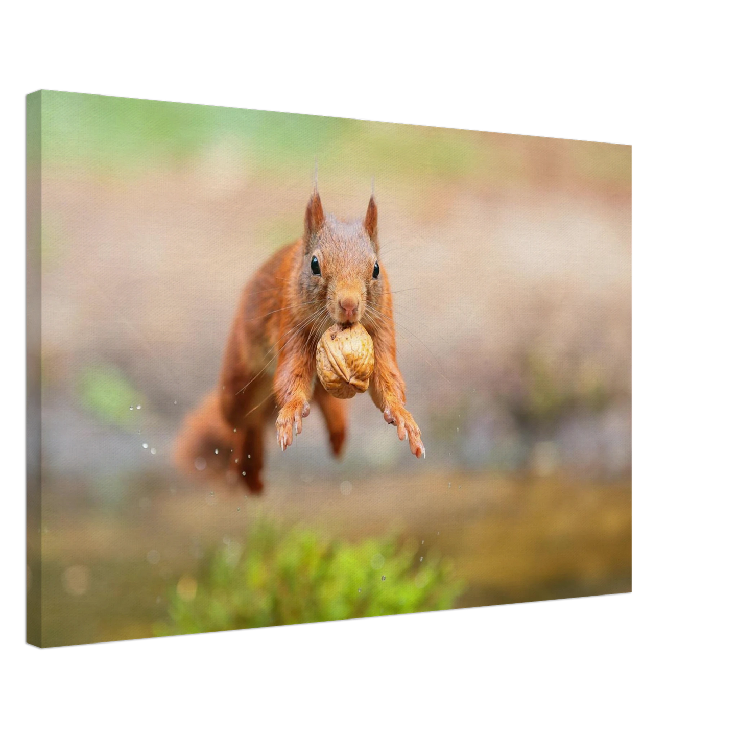 Wandbild eichhoernchens freudensprung dynamische tierkunst in leuchtenden farben