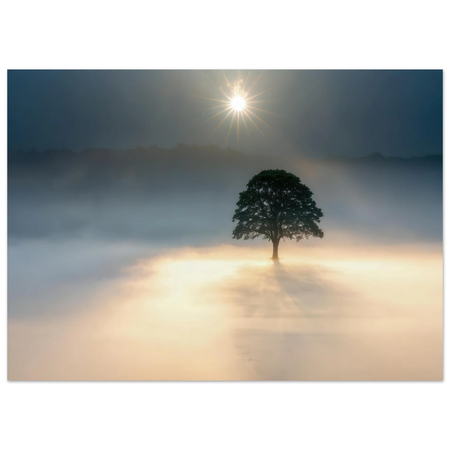 Wandbild mystisches baum wandbild einzelner baum im nebel sonnenaufgang waehlbar in verschiedenen groessen