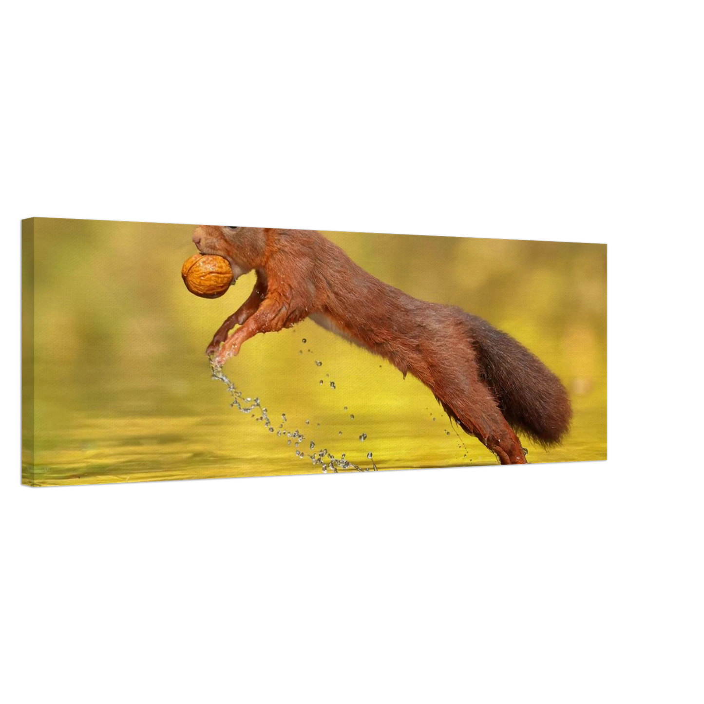 Wandbild eichhoernchen dynamische eichhoernchen kunst in lebhaften herbsttoenen