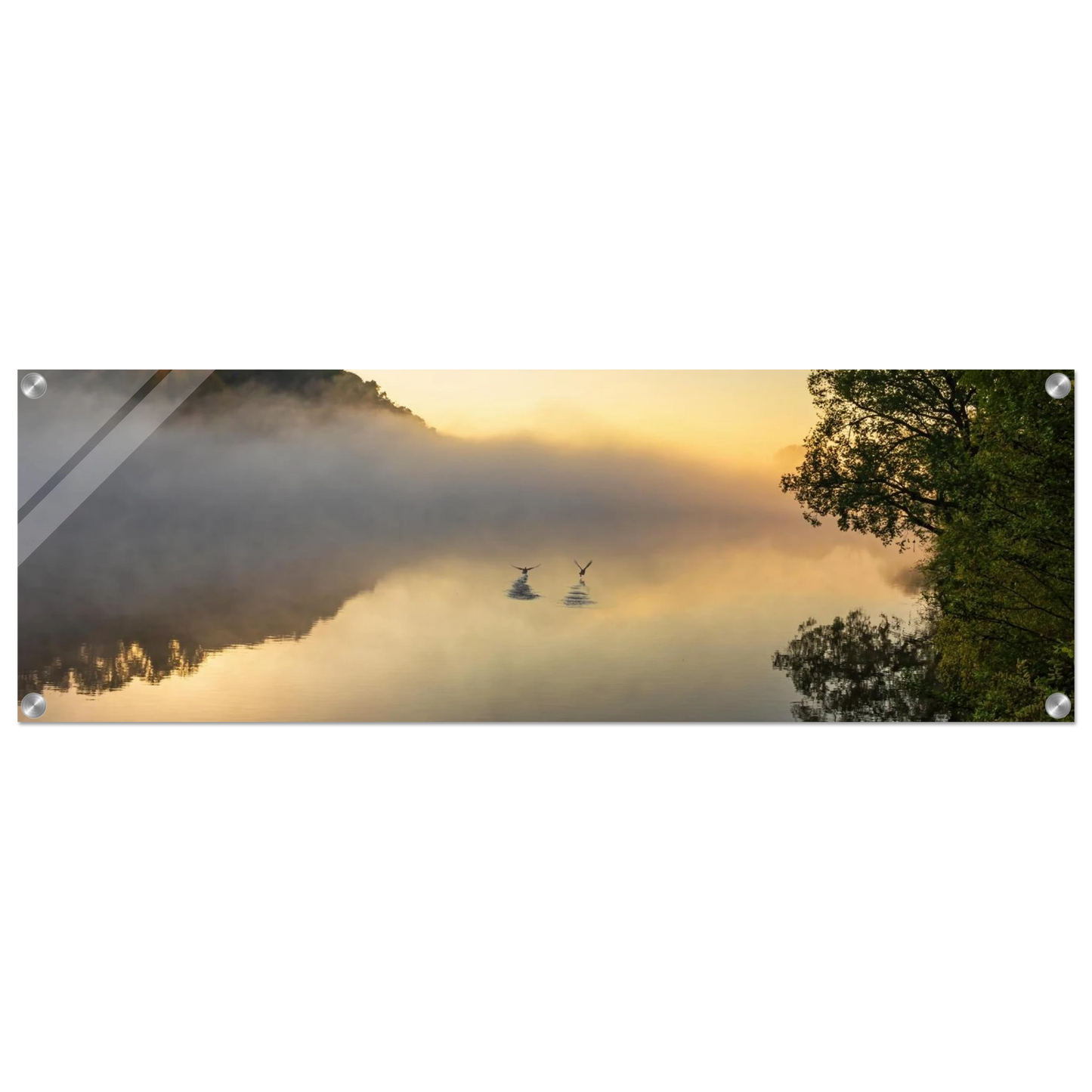 Wandbild mystischer sonnenaufgang ueber dem nebelmeer stille wasser voegel leinwandbild fuer ihr zuhause