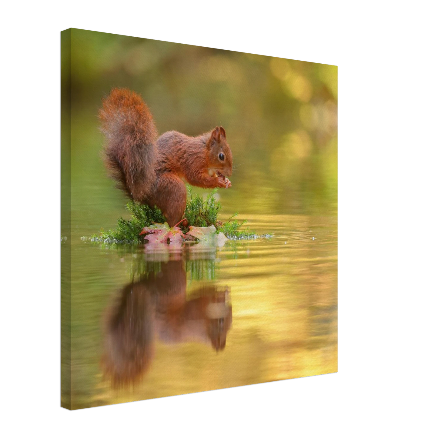 Wandbild bezauberndes eichhoernchen mit nuss lebendige wildtierkunst fuer ihr zuhause