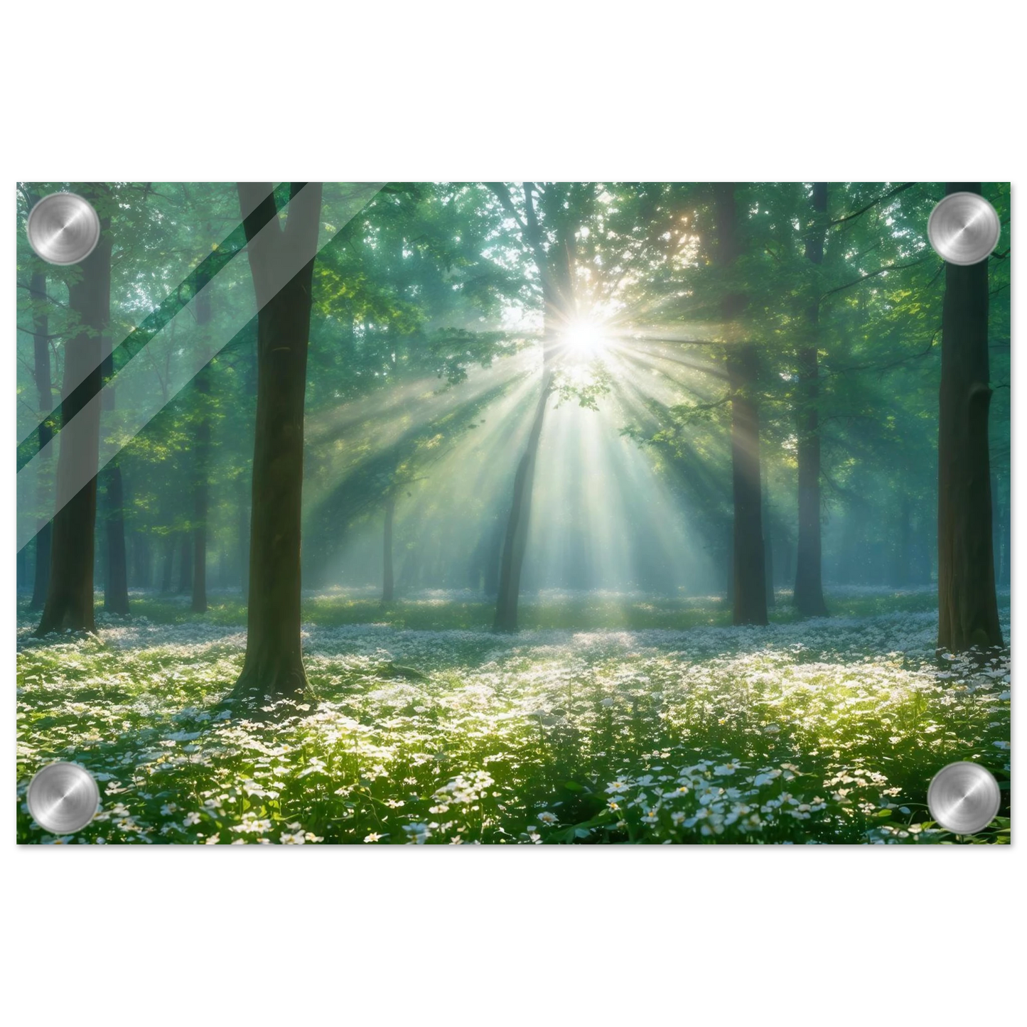 Wandbild mystischer wald sonnenstrahlen im gruenen bluetenmeer