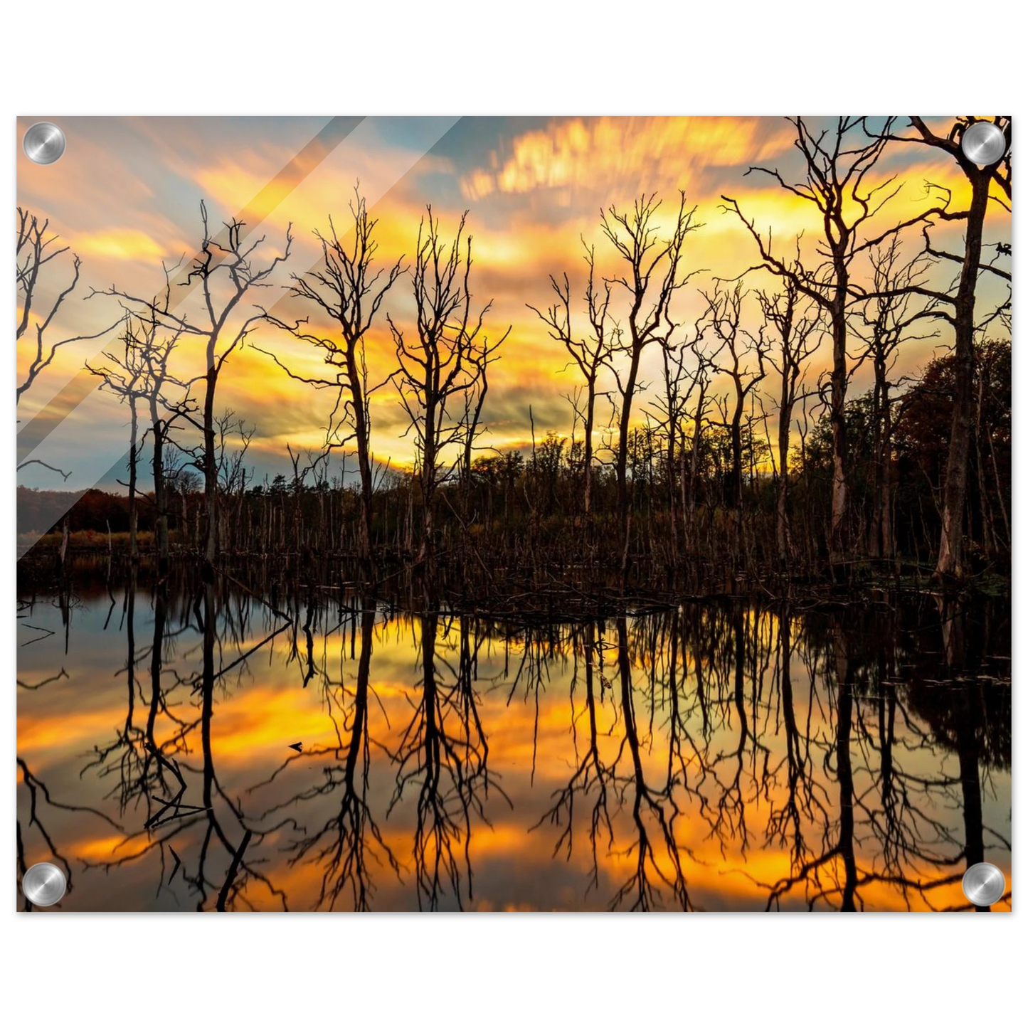 Wandbild mystischer sonnenuntergang ueber dem baumsee lebendige kunstdrucke in vielen groessen