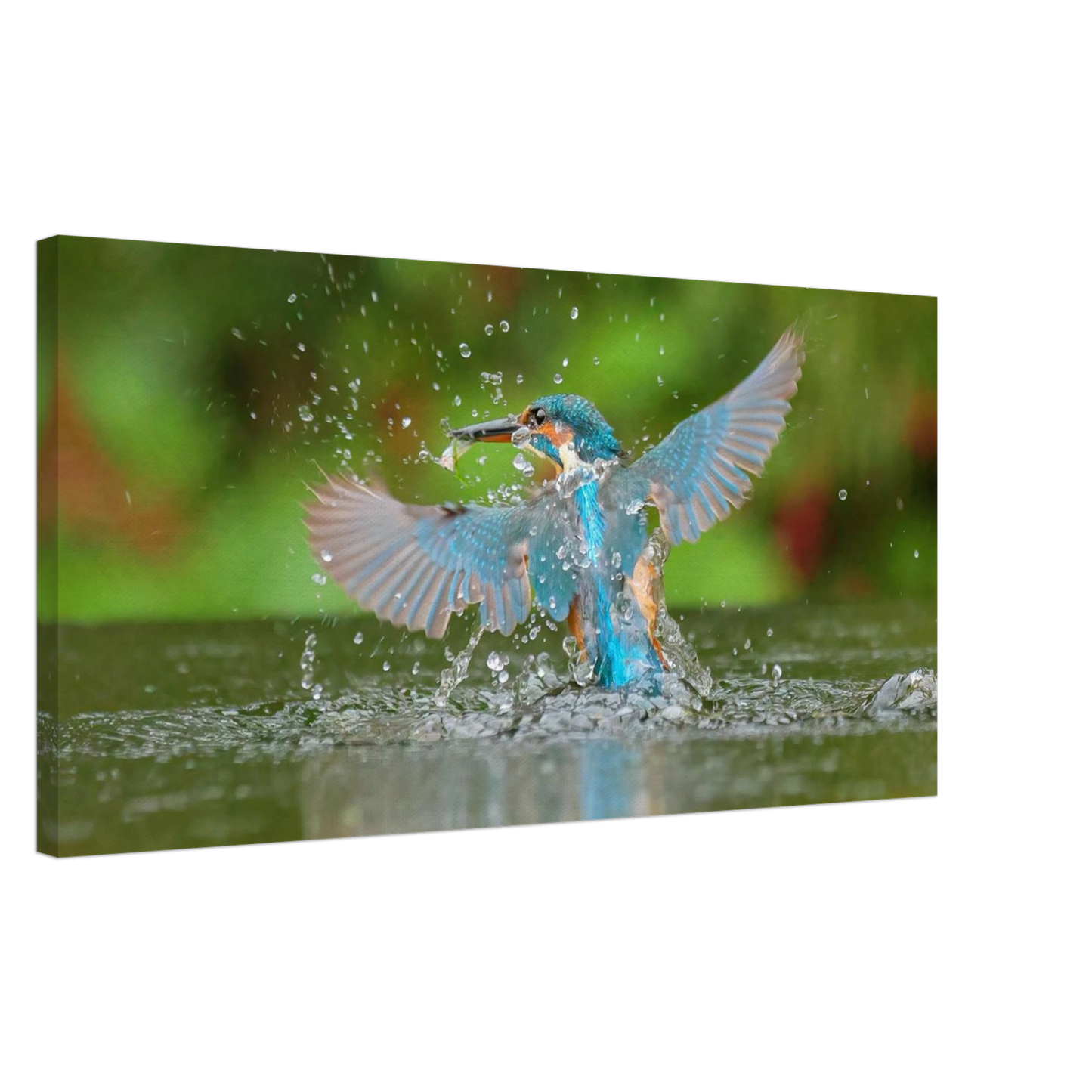 Wandbild eisvogel lebendige pracht ein dynamisches meisterwerk der wildnis