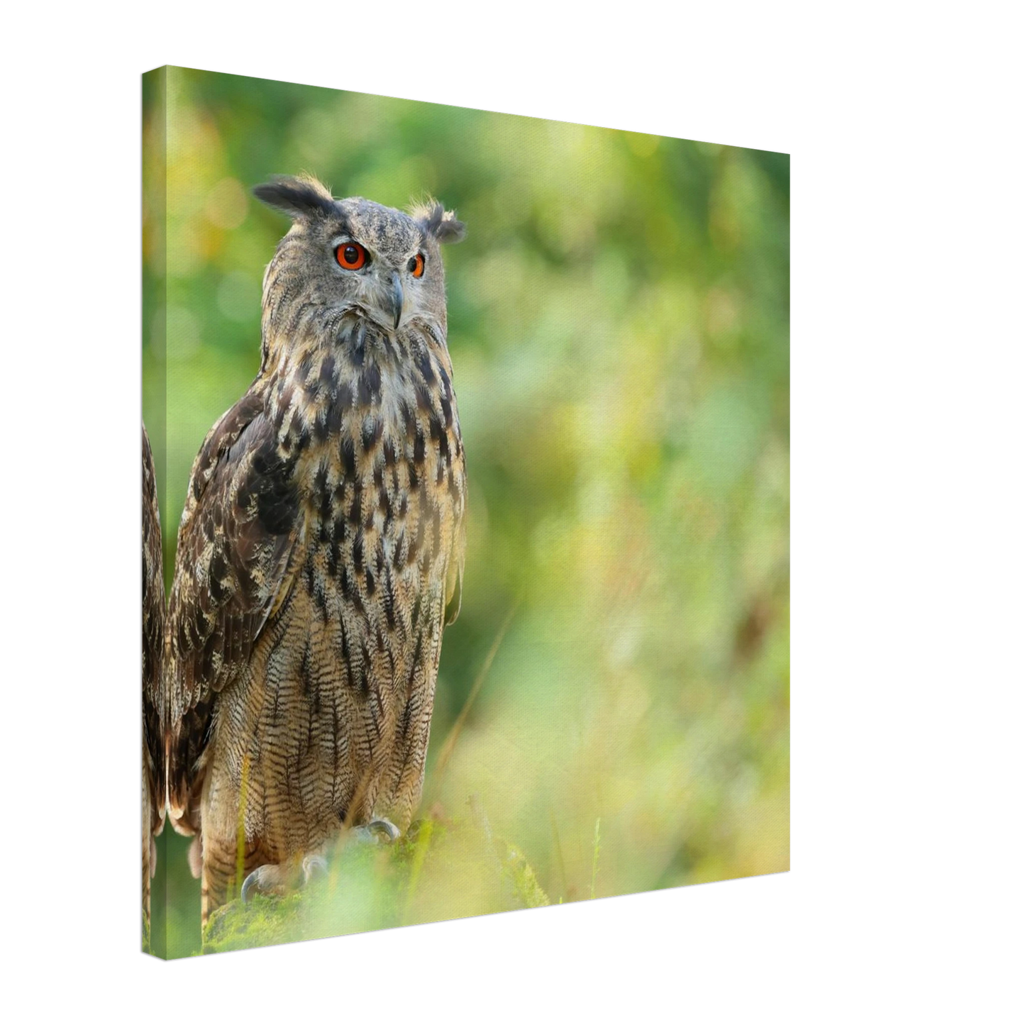 Wandbild mystische eule majestaetisches waldtier mit leuchtenden augen in ihrer wunschgroesse