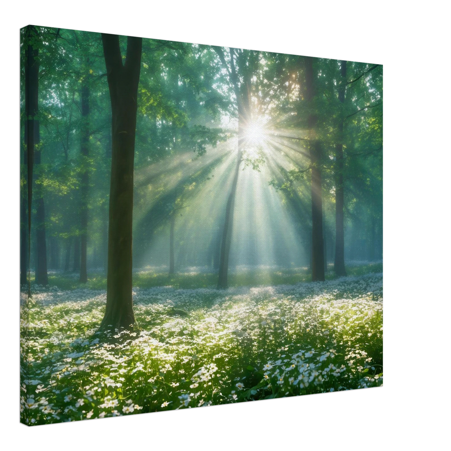 Wandbild mystischer wald sonnenstrahlen im gruenen bluetenmeer