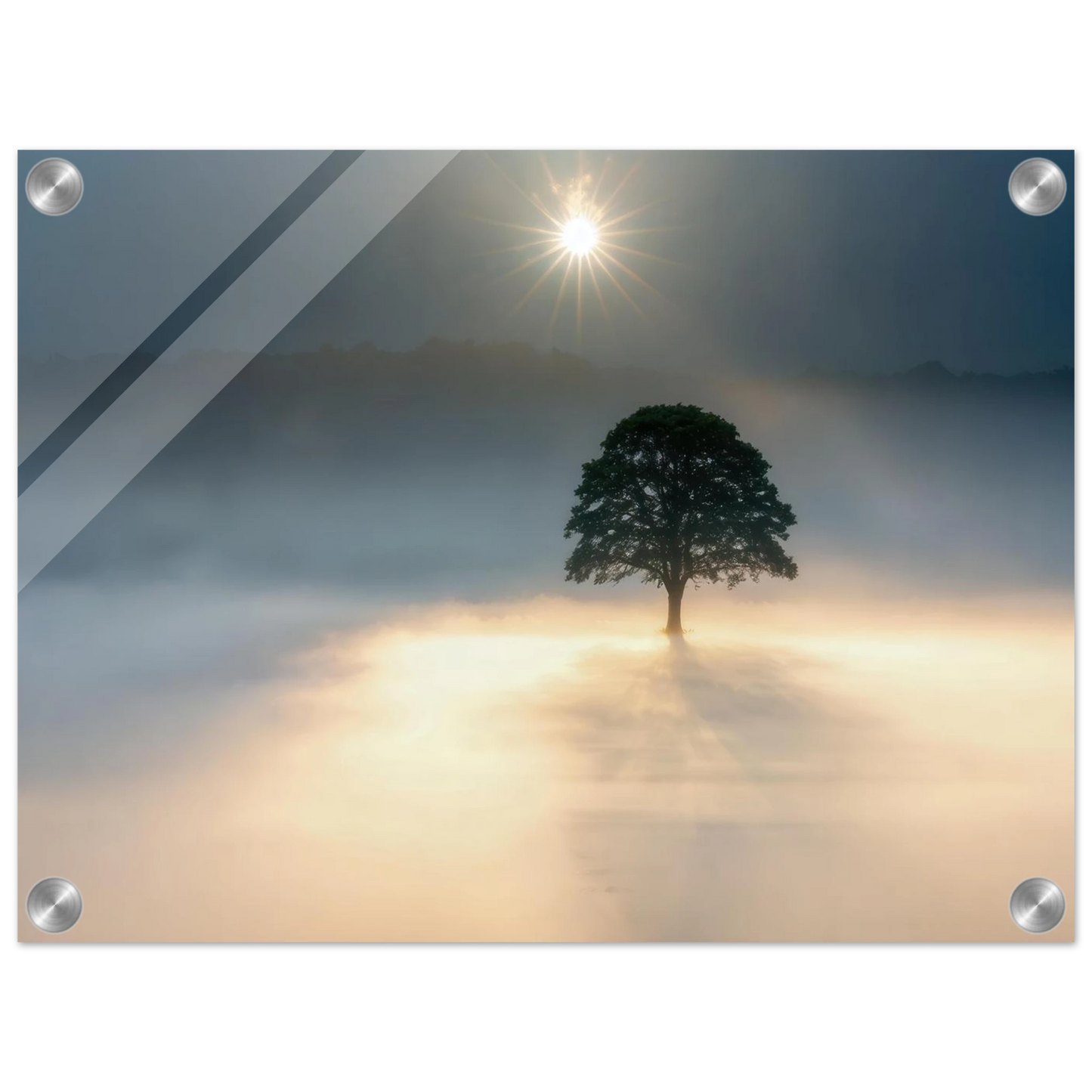 Wandbild mystisches baum wandbild einzelner baum im nebel sonnenaufgang waehlbar in verschiedenen groessen