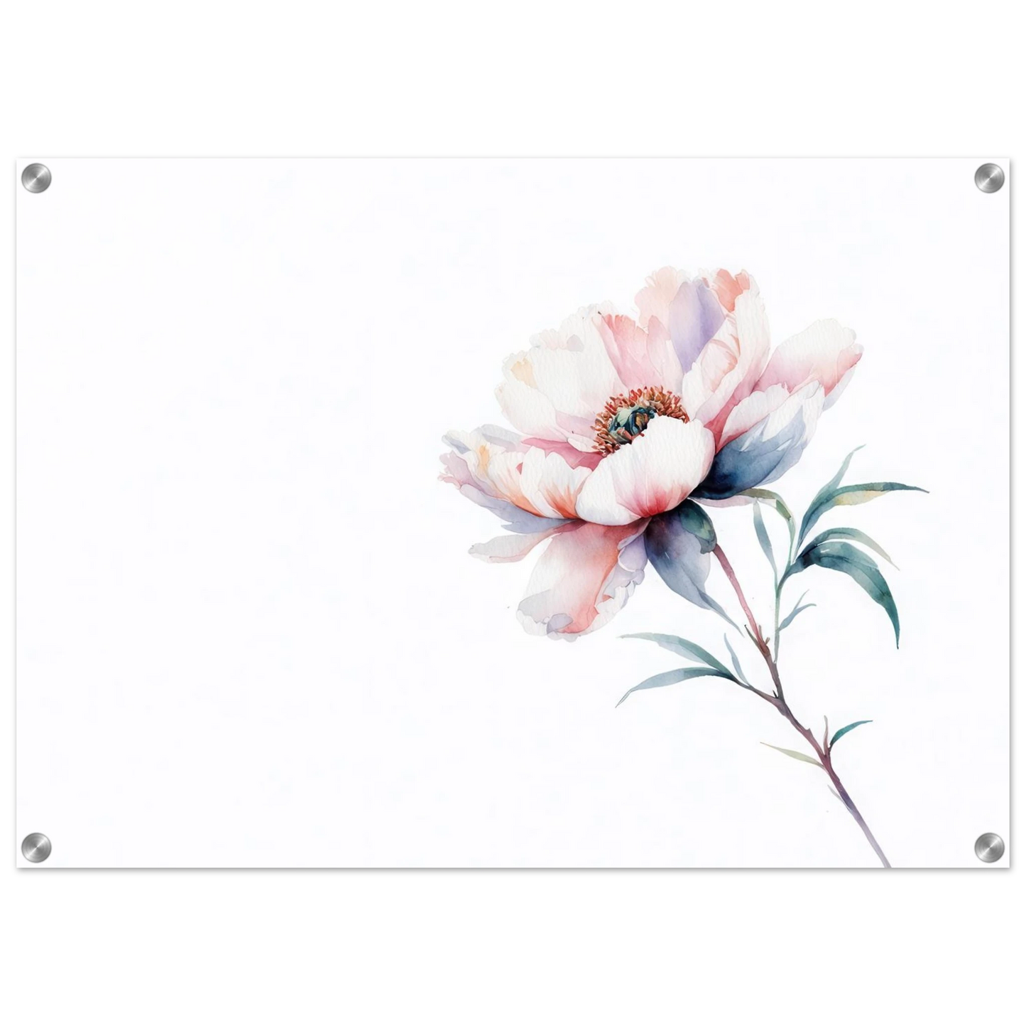 Wandbild zarte pfingstrose elegante aquarell kunst fuer ihr zuhause in wunschgroesse