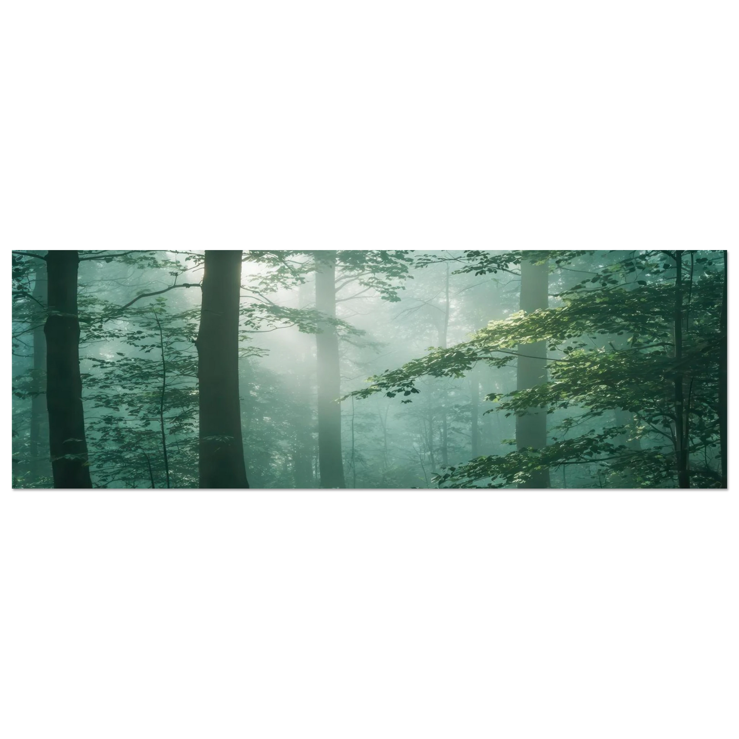 Wandbild mystischer smaragd wald mit sonnenstrahlen beruhigende nebelwald kunst in ihrer wunschgroesse