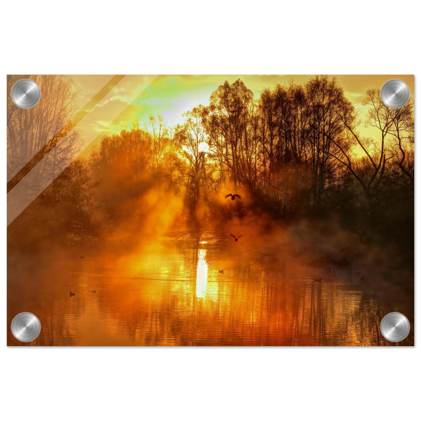 Wandbild Goldene morgenroete wandbild nebelwald poster in 25 groessenausfuehrungen