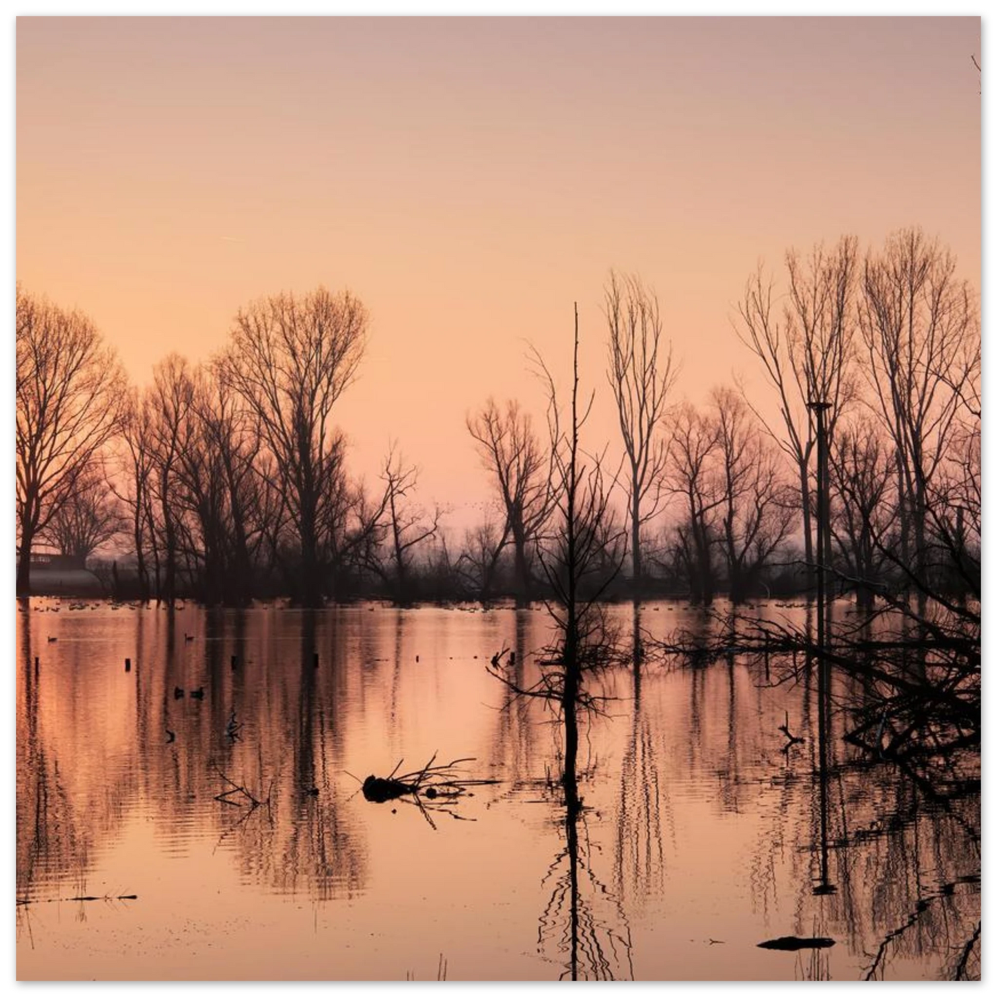 Wandbild mystischer sonnenuntergang am see vertraeumtes naturbild zum aufhaengen in ihrer wunschgroesse