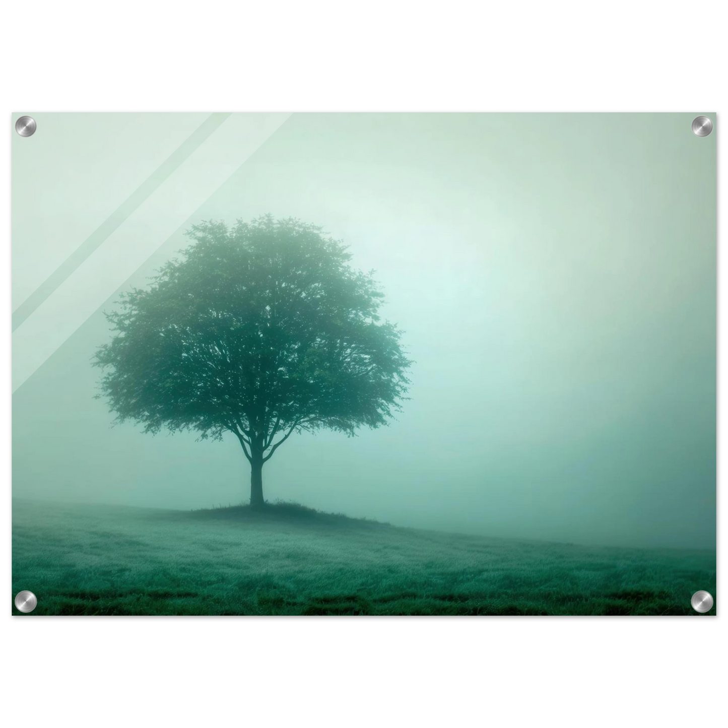 Wandbild mystischer baum im nebel ruhe und gruentoene fuer dein zuhause