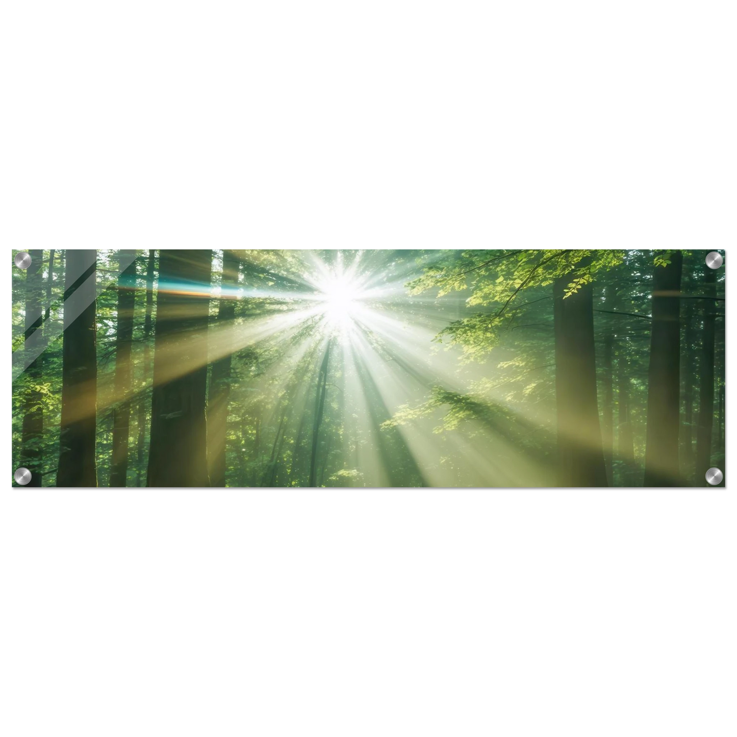 Wandbild sonnenstrahlen im wald mystisches waldlicht kunstdruck in ihrer wunschgroesse