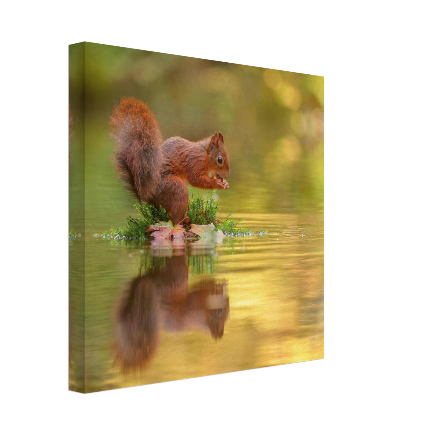 Wandbild bezauberndes eichhoernchen mit nuss lebendige wildtierkunst fuer ihr zuhause