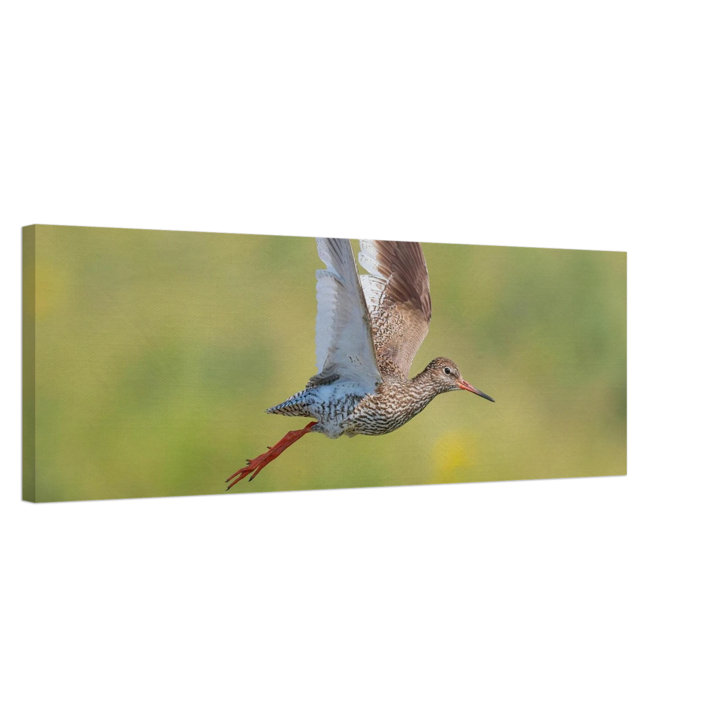 Wandbild der flug des rotschenkels dynamische tierkunst fuer ihr zuhause in vielen groessen erhaeltlich