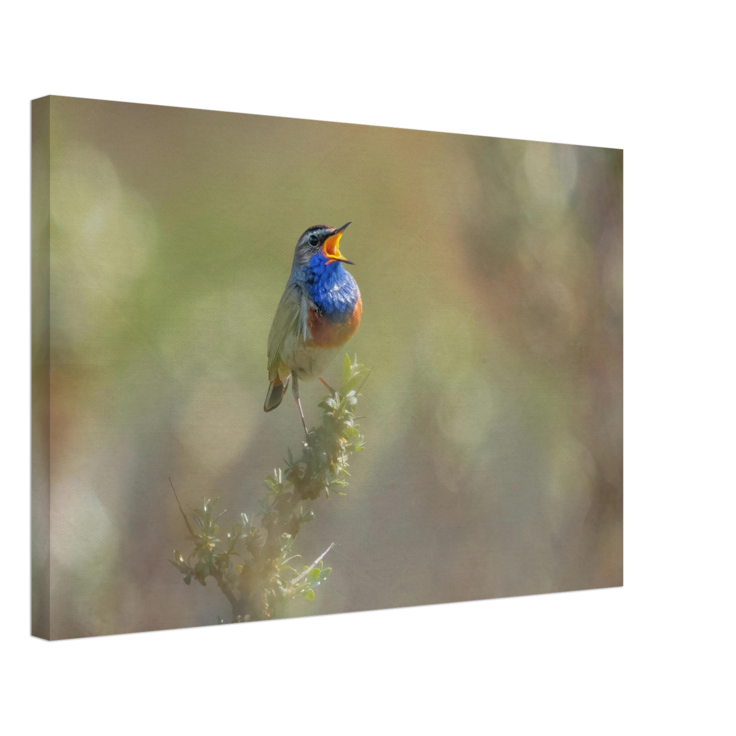 Wandbild singvogel in blautoenen lebendige vogelkunst fuer ihr zuhause in ihrer wunschgroesse