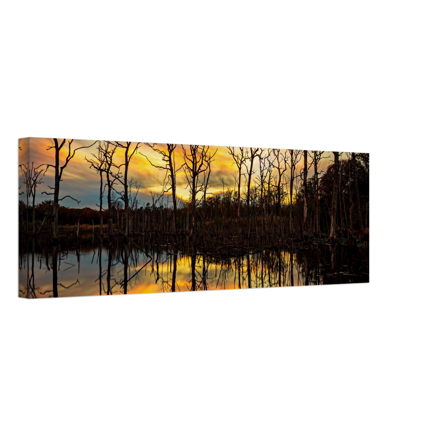 Wandbild mystischer sonnenuntergang ueber dem baumsee lebendige kunstdrucke in vielen groessen