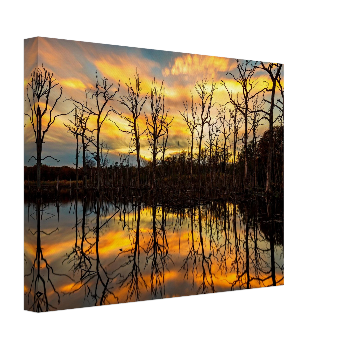 Wandbild mystischer sonnenuntergang ueber dem baumsee lebendige kunstdrucke in vielen groessen