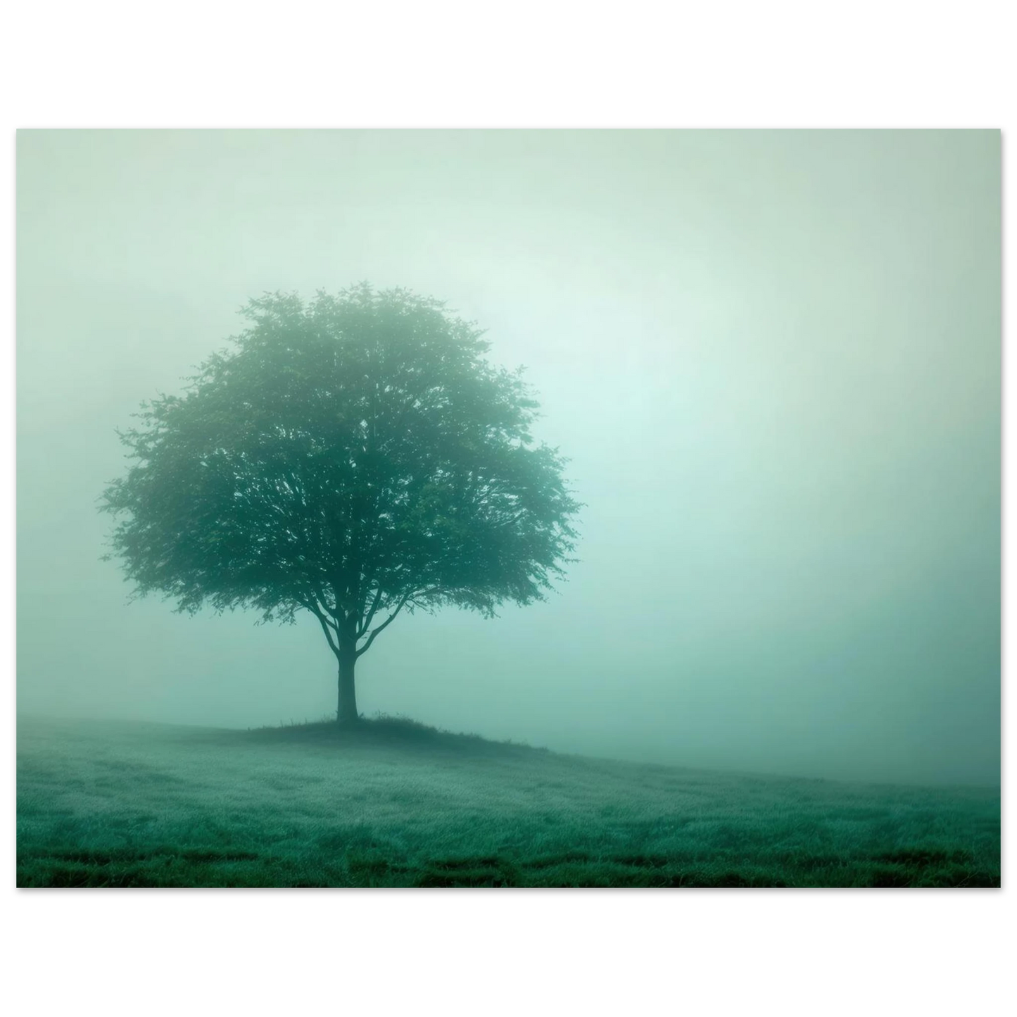 Wandbild mystischer baum im nebel ruhe und gruentoene fuer dein zuhause