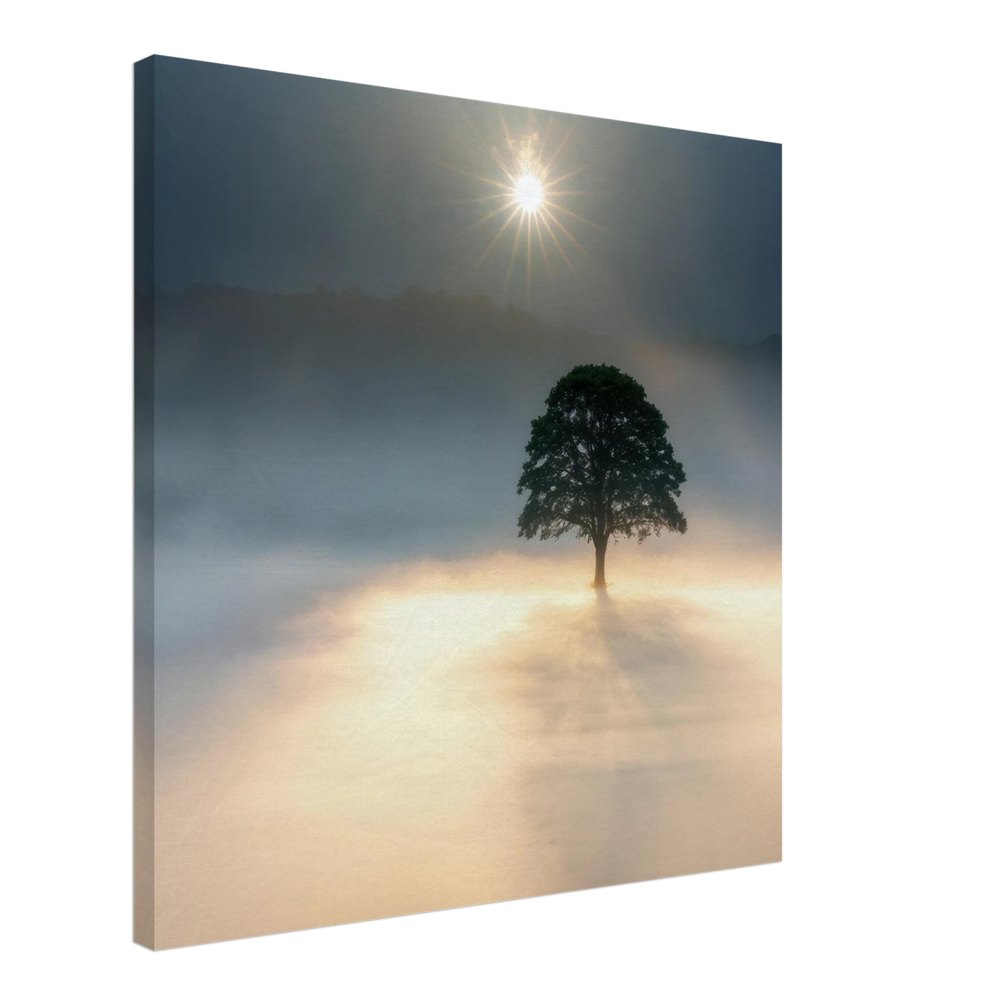 Wandbild mystisches baum wandbild einzelner baum im nebel sonnenaufgang waehlbar in verschiedenen groessen