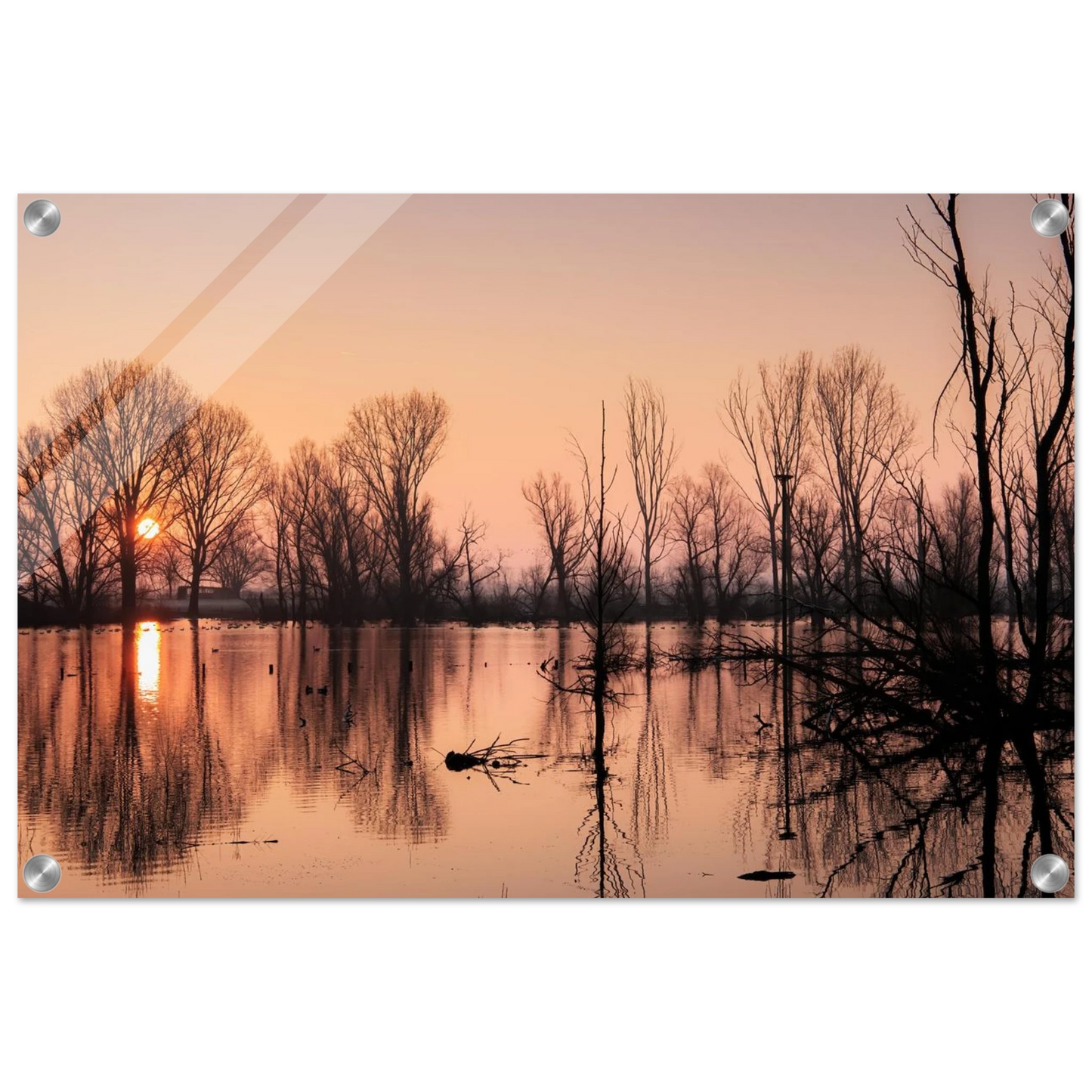 Wandbild mystischer sonnenuntergang am see vertraeumtes naturbild zum aufhaengen in ihrer wunschgroesse