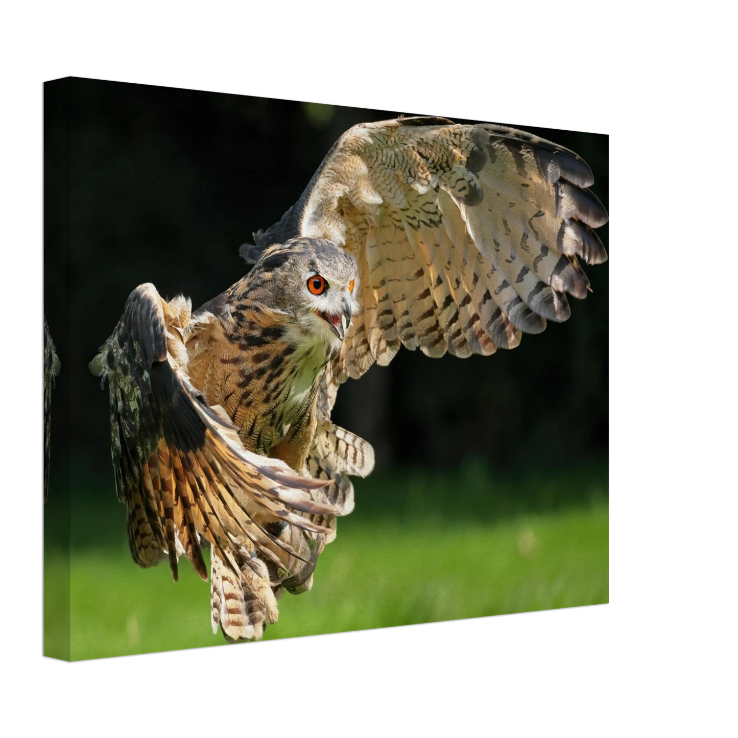 Wandbild majestaetische eule im flug ausdrucksstarke wandkunst fuer ihr zuhause