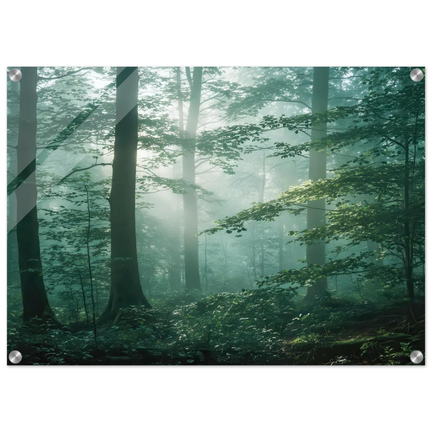 Wandbild mystischer smaragd wald mit sonnenstrahlen beruhigende nebelwald kunst in ihrer wunschgroesse