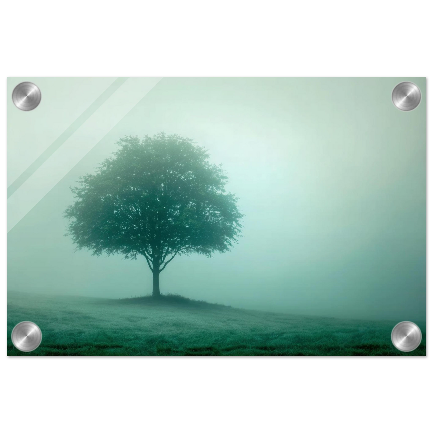 Wandbild mystischer baum im nebel ruhe und gruentoene fuer dein zuhause