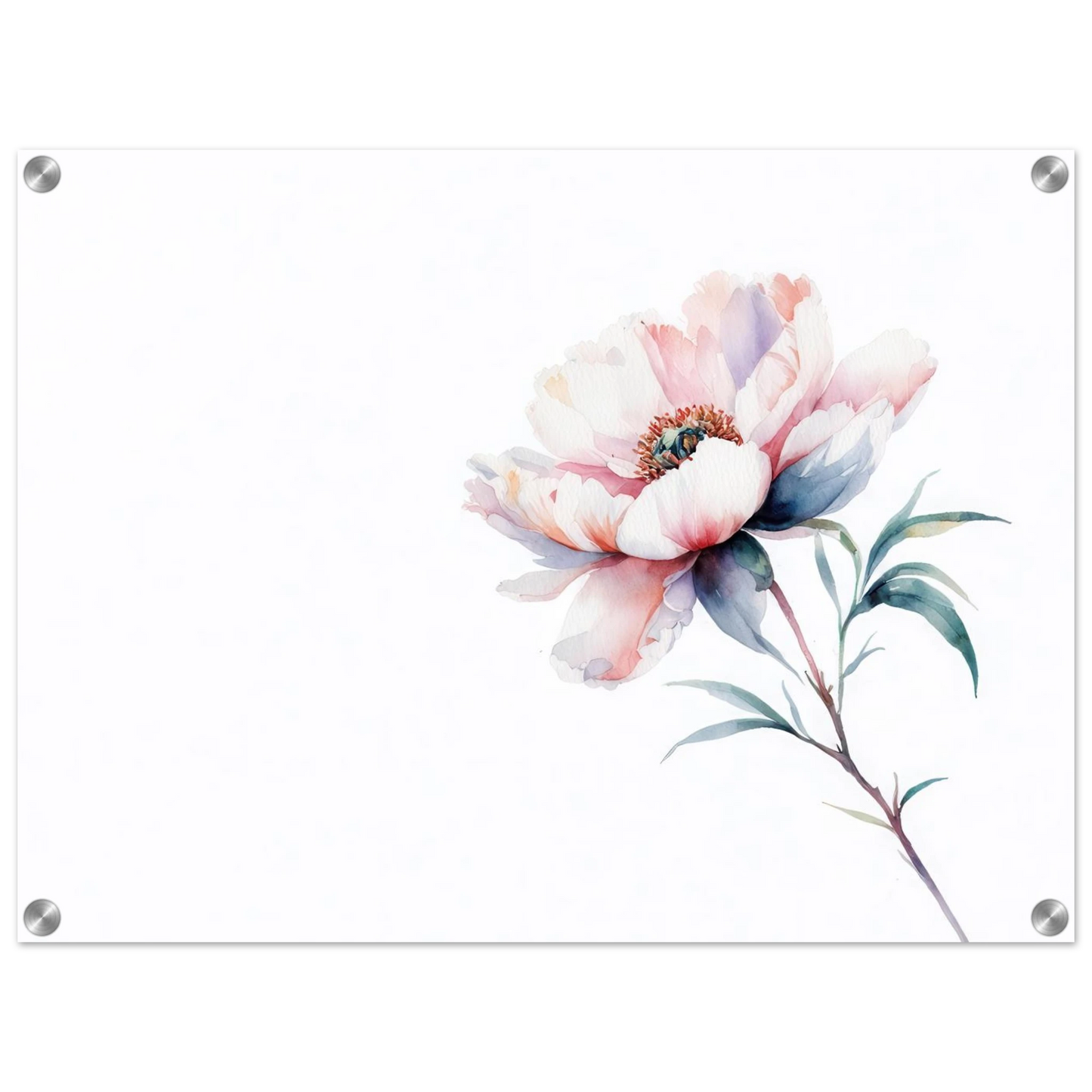 Wandbild zarte pfingstrose elegante aquarell kunst fuer ihr zuhause in wunschgroesse