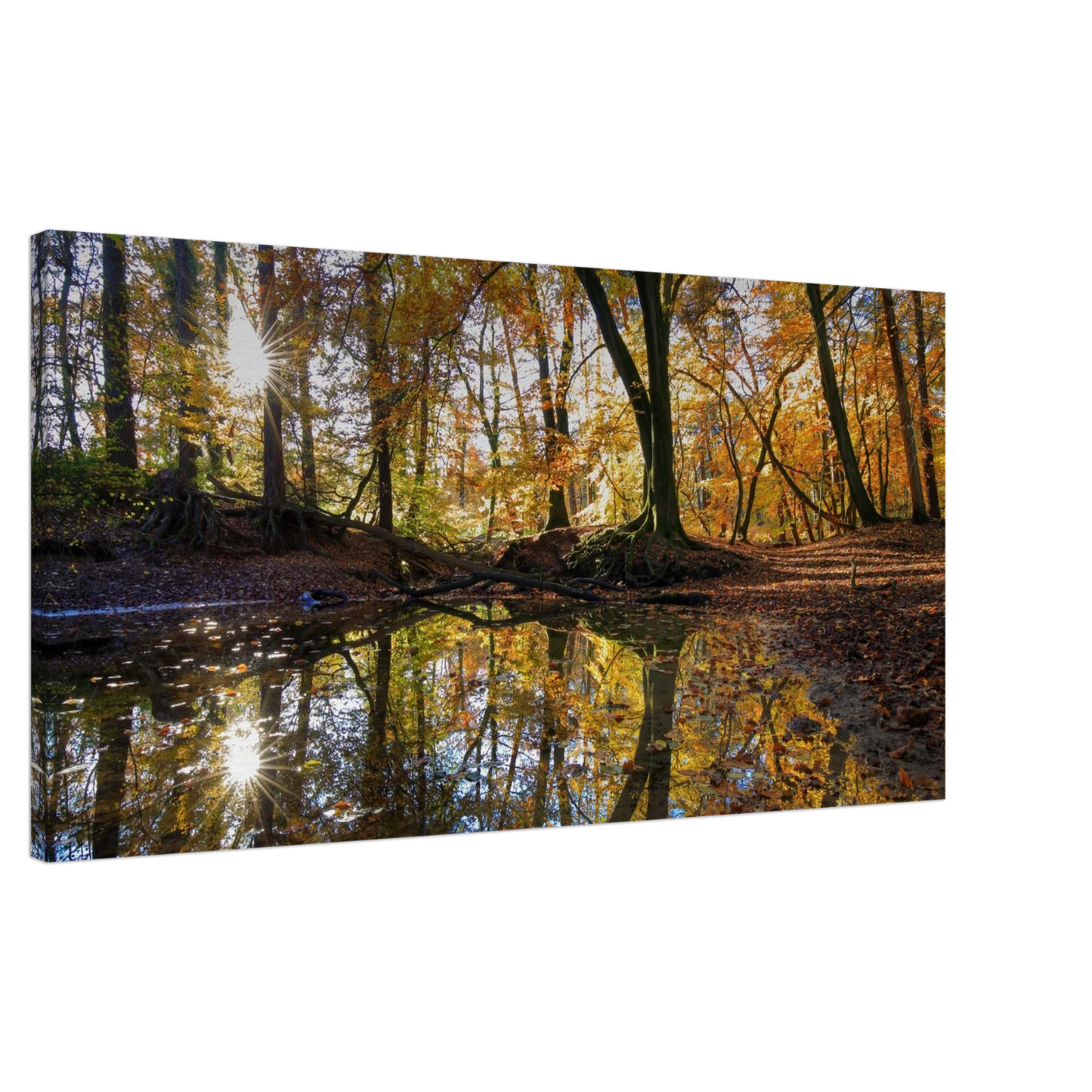 Wandbild goldener herbstwald stimmungsvolle spiegelung der natur in ihrer wunschgroesse