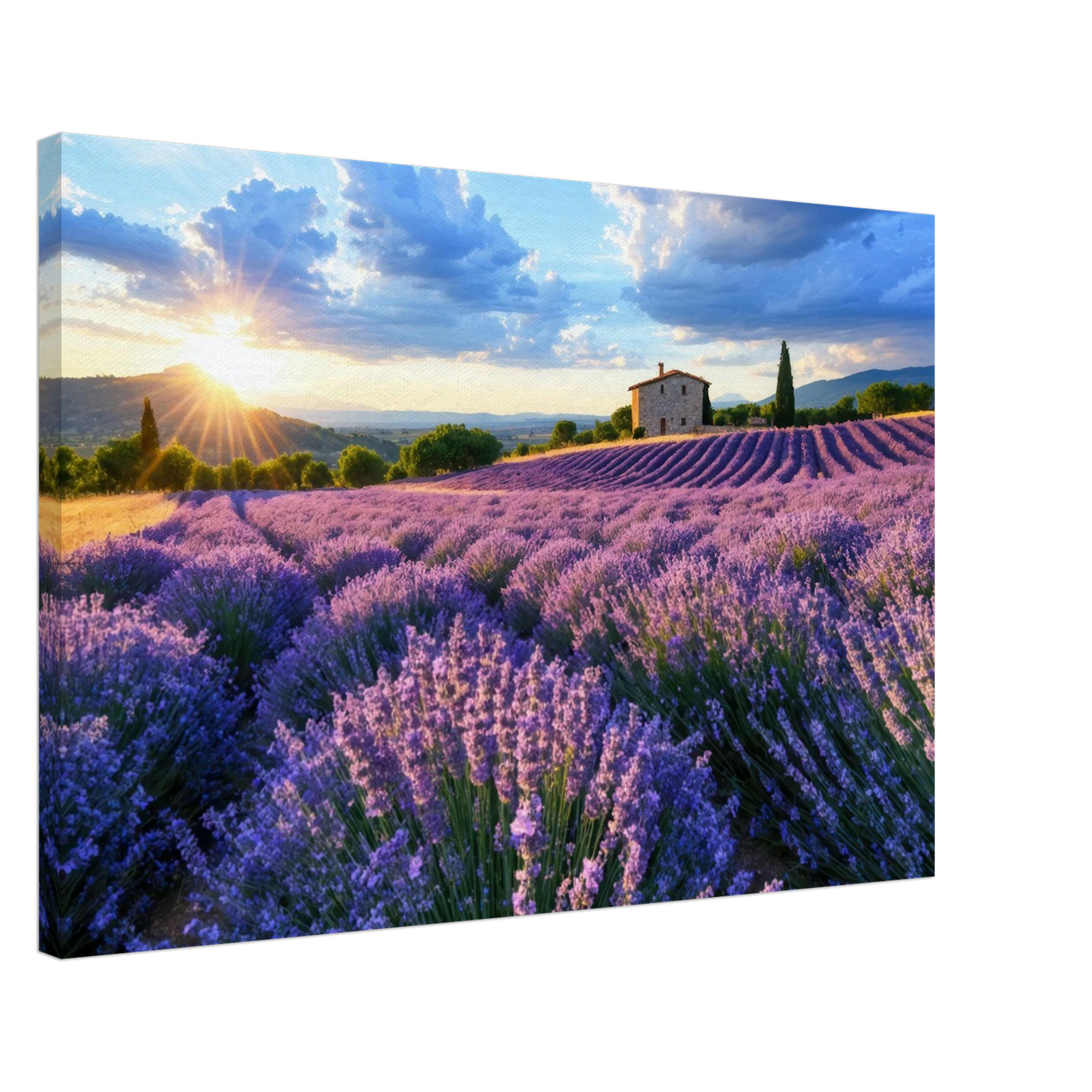 Wandbild sonnenuntergang ueber lavendelfeldern idyllische provence landschaft im wunschformat